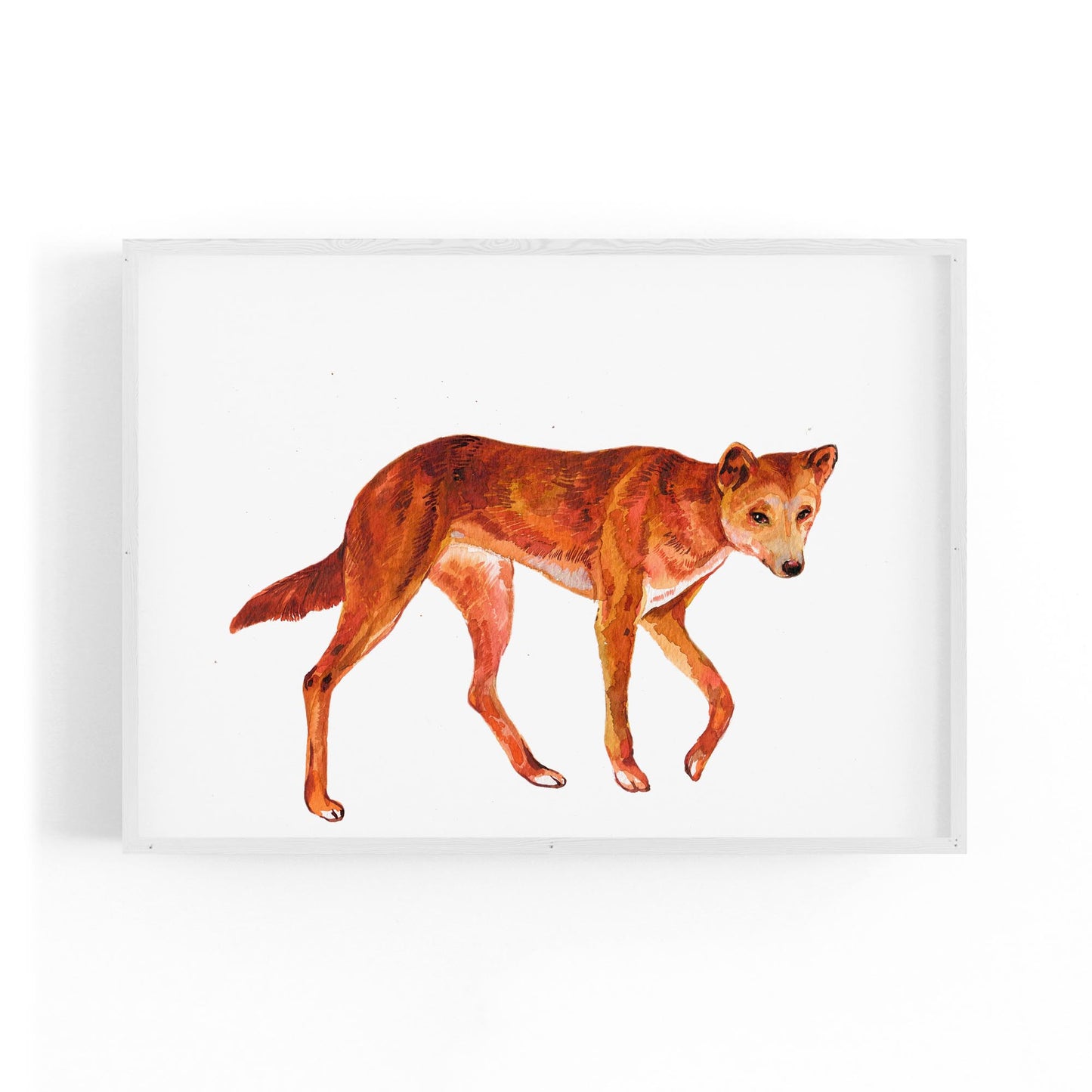 Australian Dingo Painting Animal Nursery Wall Art - The Affordable Art Company