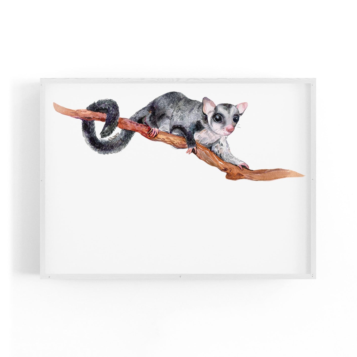 Australian Possum Painting Animal Nursery Wall Art - The Affordable Art Company