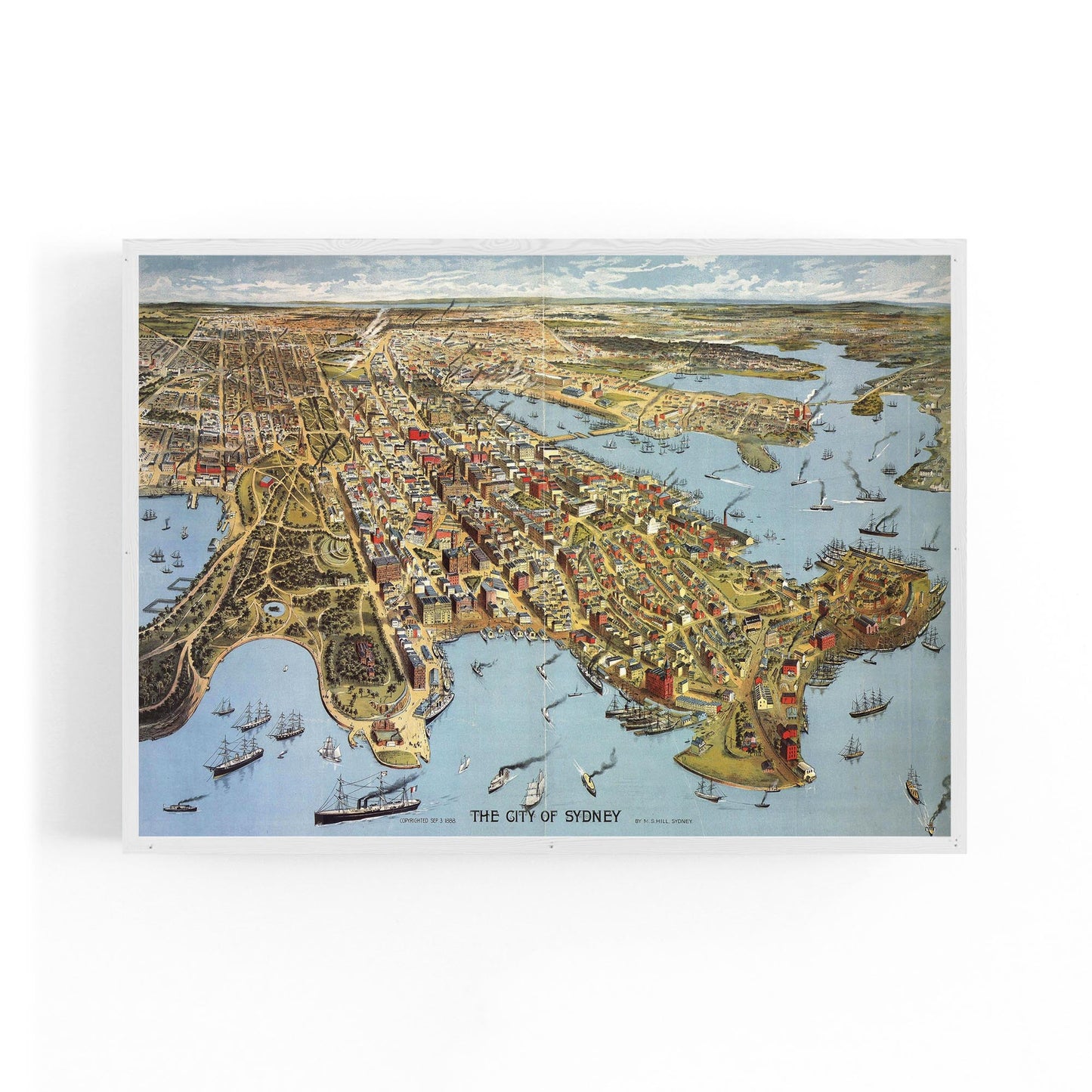 Vintage Sydney Map New South Wales Wall Art - The Affordable Art Company