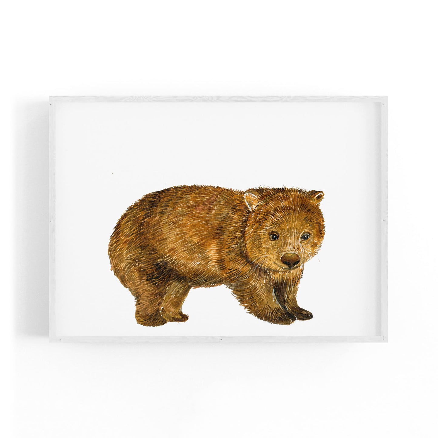 Australian Wombat Painting Animal Wall Art - The Affordable Art Company