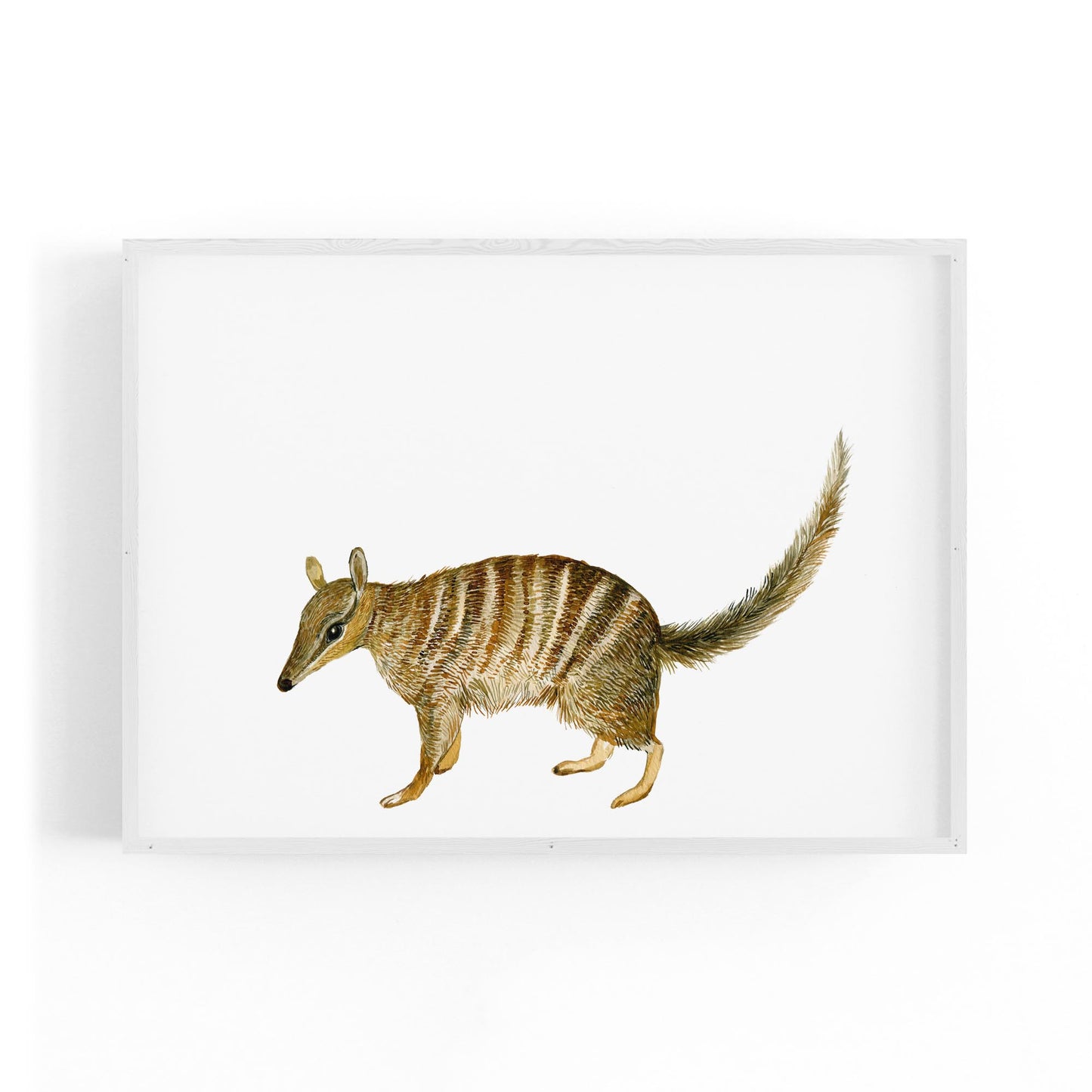 Australian Anteater Painting Animal Nursery Art - The Affordable Art Company