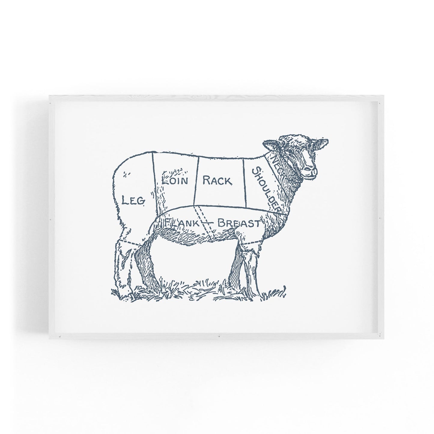 Butcher Shop Lamb Drawing Meat Wall Art - The Affordable Art Company