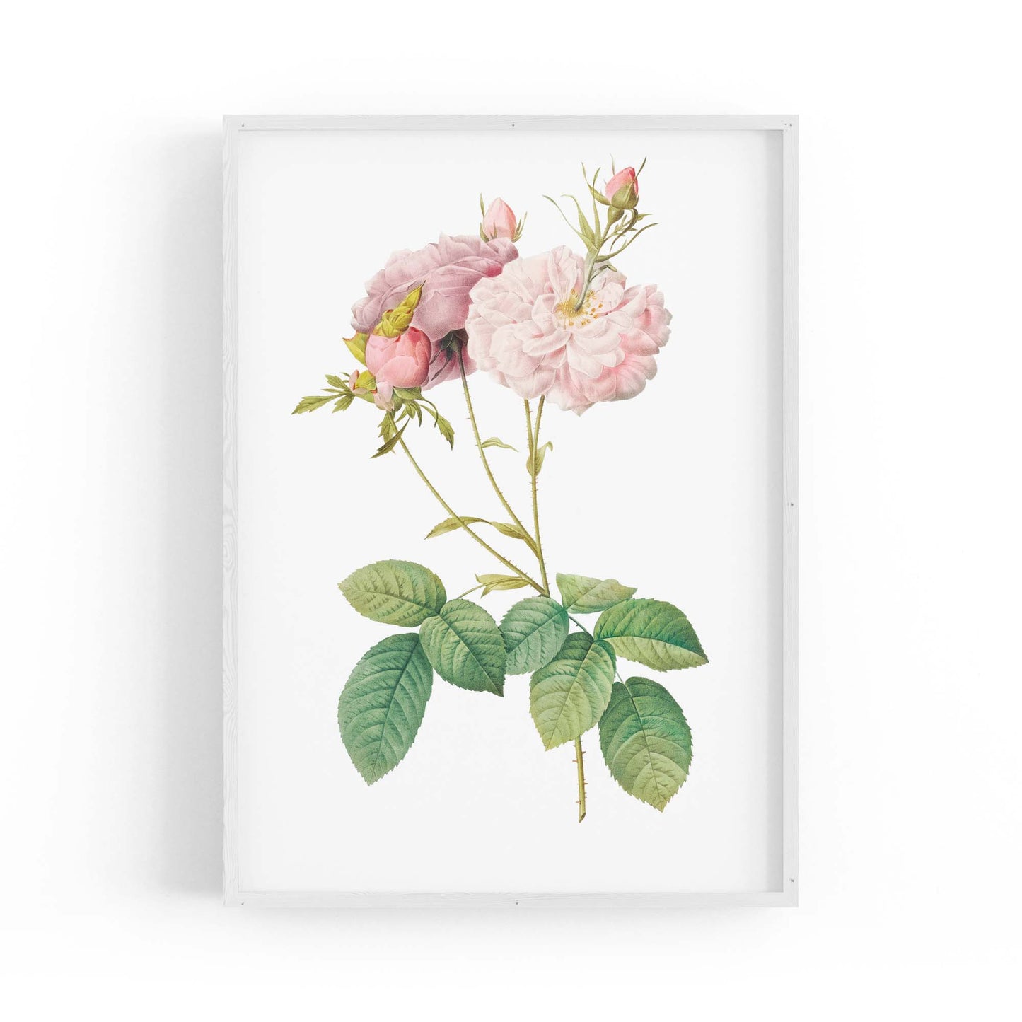 Flower Botanical Painting Kitchen Hallway Wall Art #42 - The Affordable Art Company