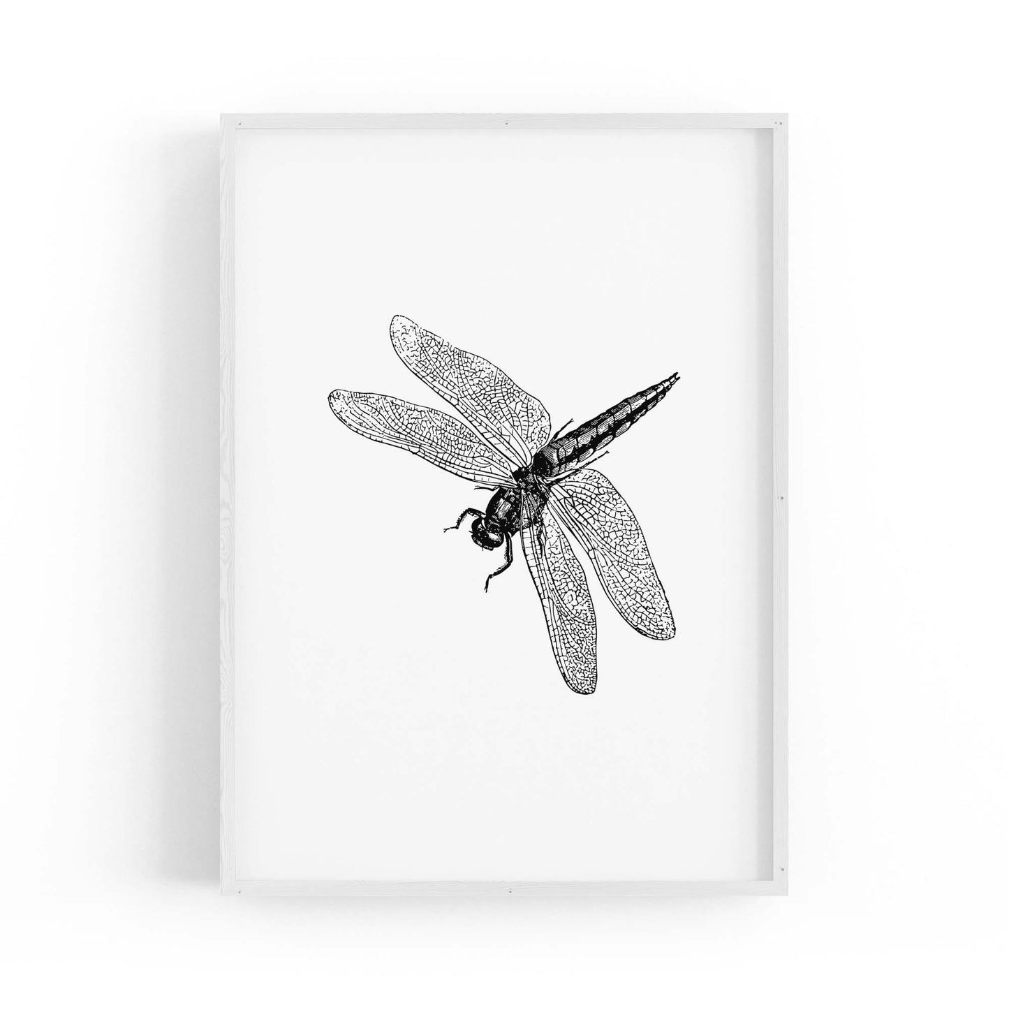 Dragonfly Drawing Insect Minimal Artwork Wall Art #2 - The Affordable Art Company