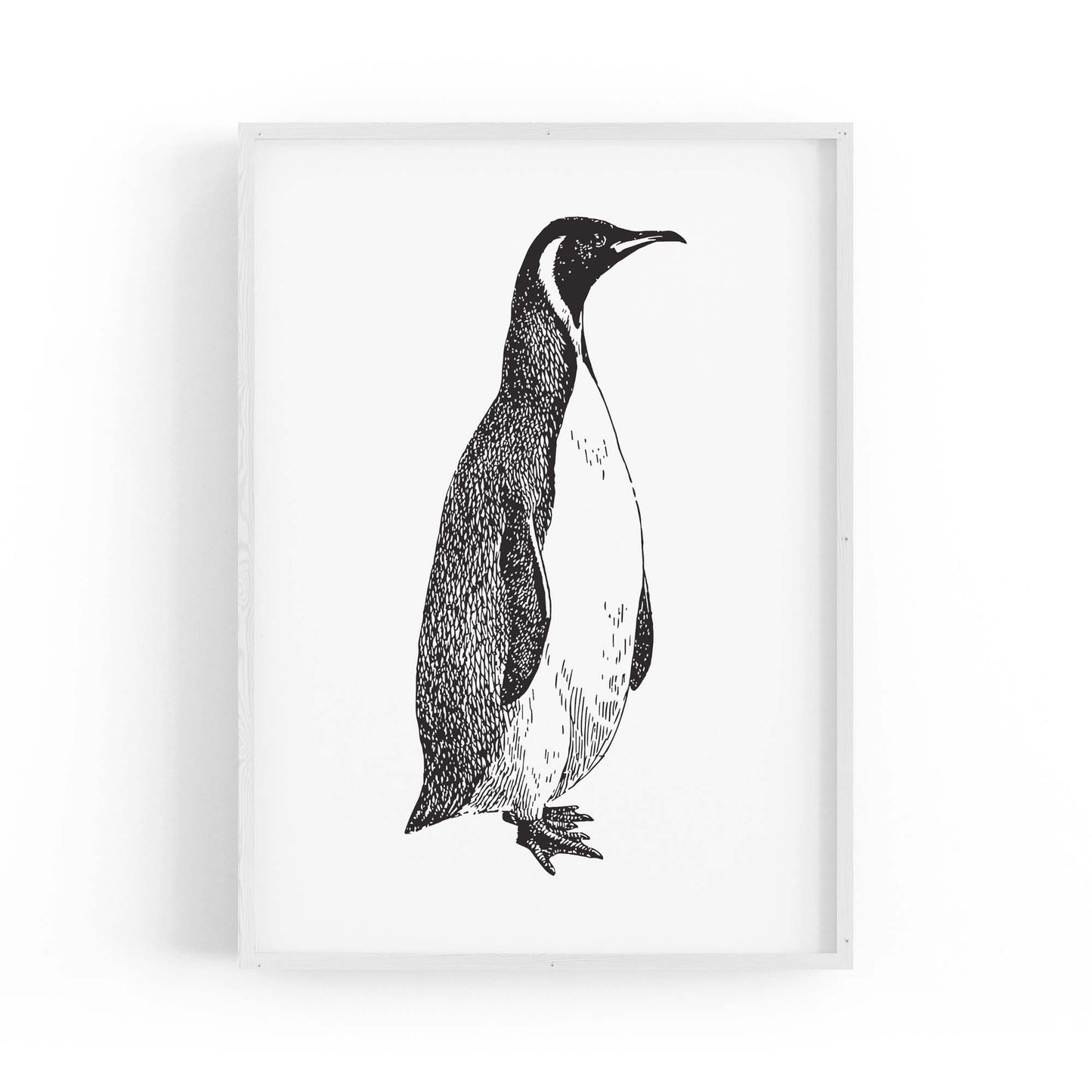 Penguin Drawing Animal Office Library Wall Art #1 - The Affordable Art Company