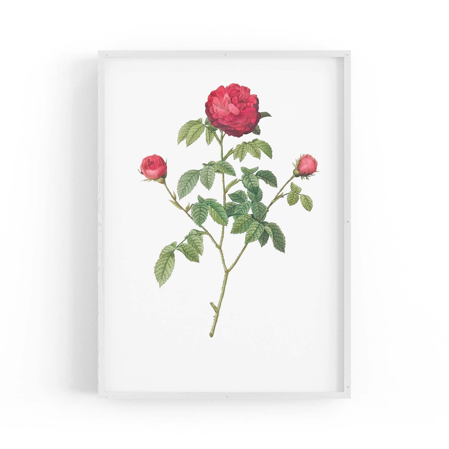 Flower Botanical Painting Kitchen Hallway Wall Art #3 - The Affordable Art Company