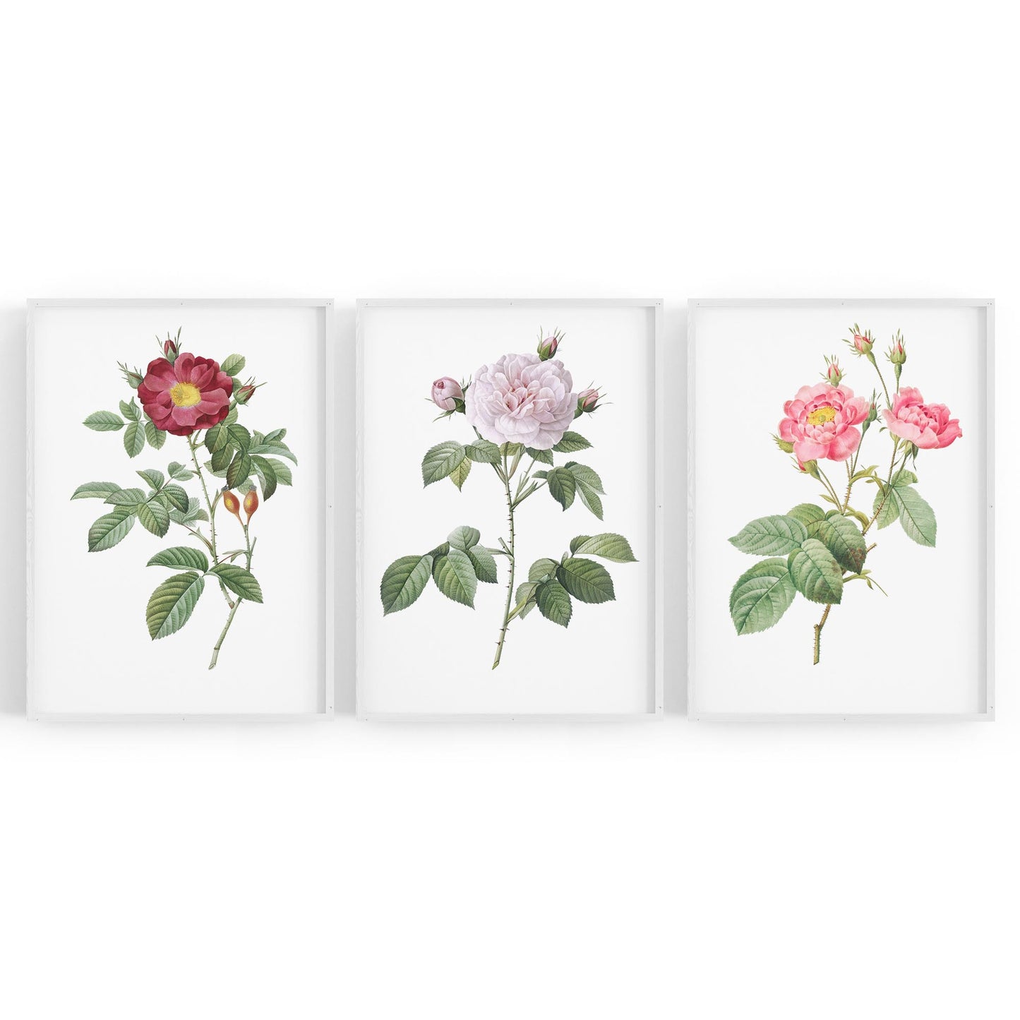 Set of Pink Floral Vintage Botanical Wall Art #3 - The Affordable Art Company