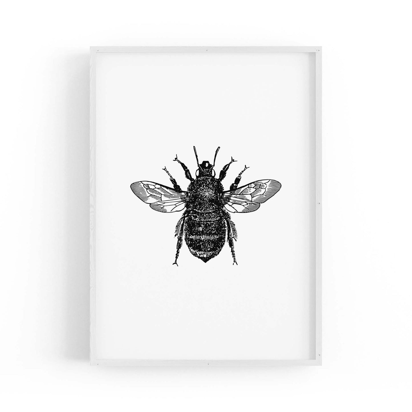 Bumblebee Drawing Insect Minimal Wall Art - The Affordable Art Company