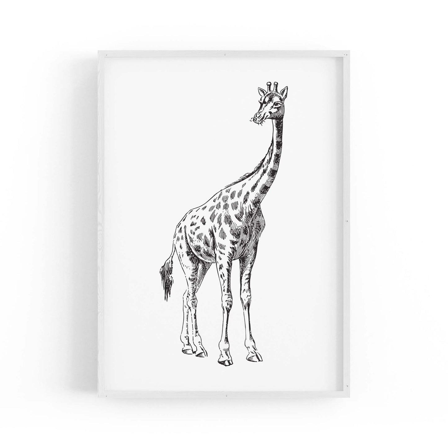 Detailed Giraffe Drawing Safari Animal Wall Art #2 - The Affordable Art Company