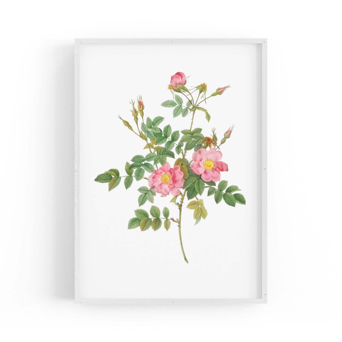 Flower Botanical Painting Kitchen Hallway Wall Art #47 - The Affordable Art Company