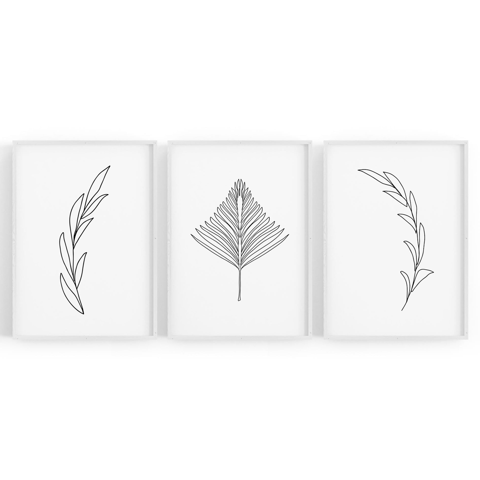 Set of Minimal Plant Line Drawings Wall Art #1 - The Affordable Art Company