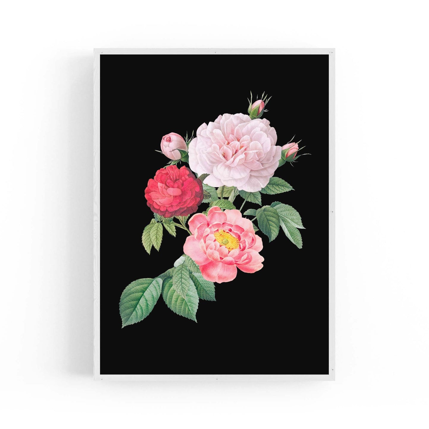 Botanical Flower Painting Floral Kitchen Wall Art #7 - The Affordable Art Company