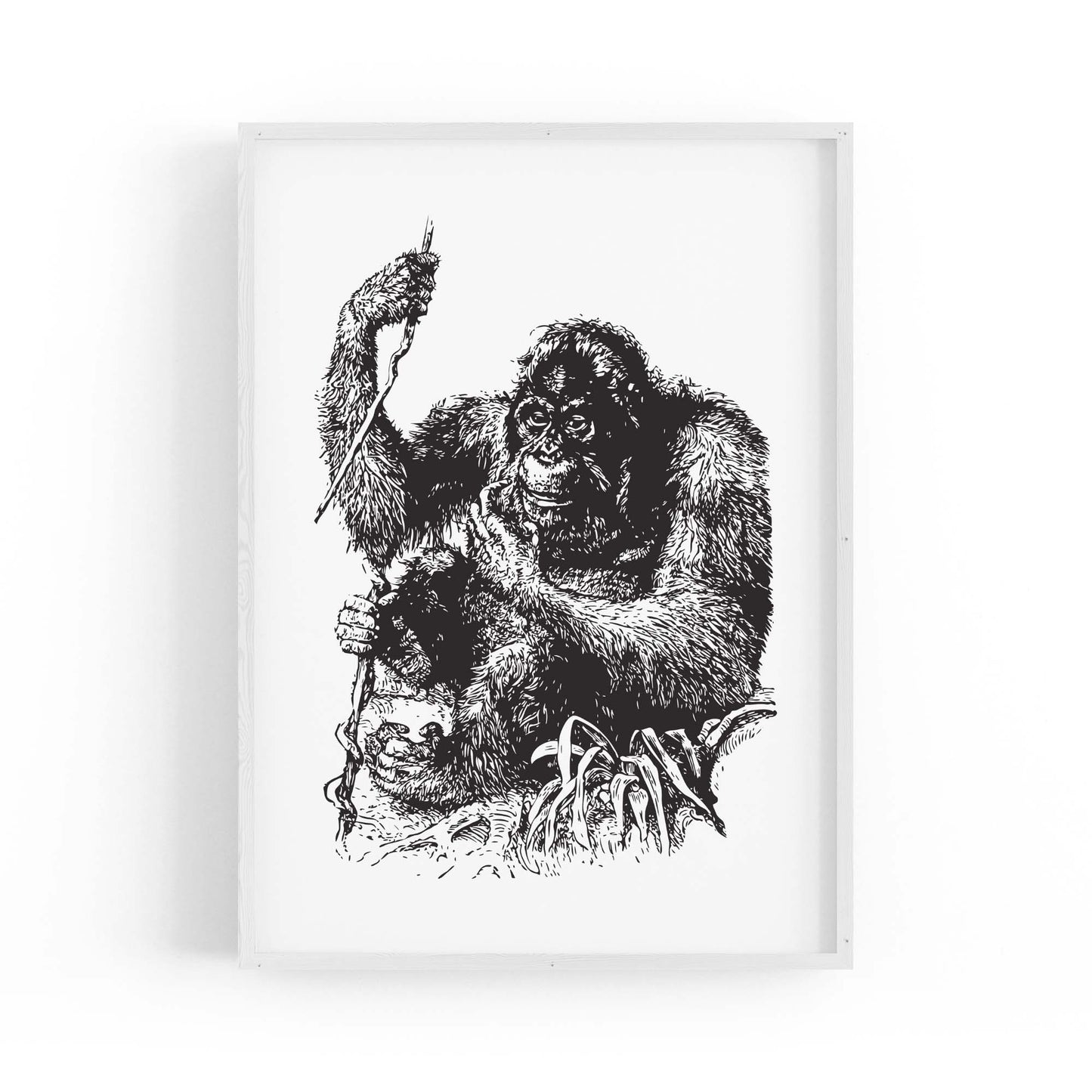 Orangutan Drawing Jungle Animal Wall Art - The Affordable Art Company