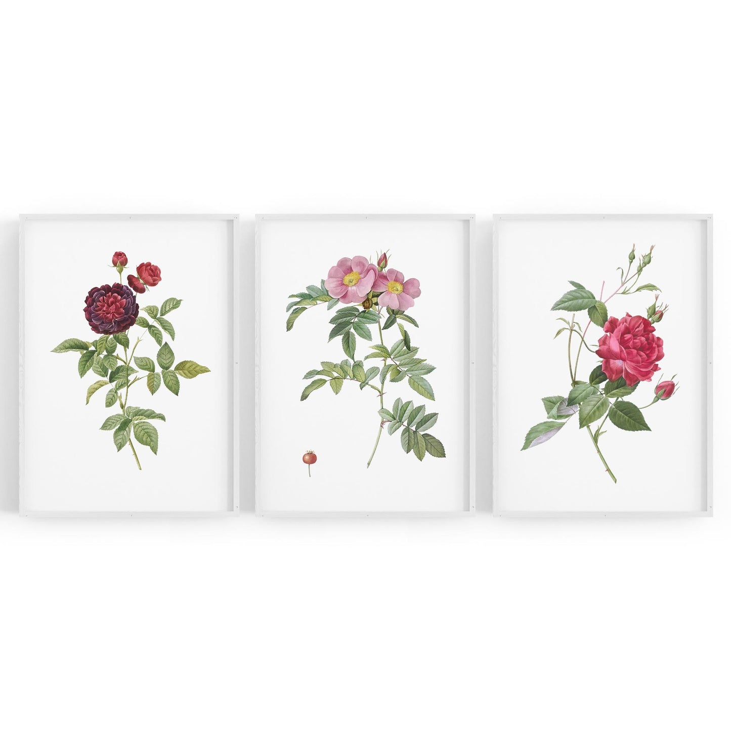 Set of Red & White Flower Botanical Wall Art - The Affordable Art Company