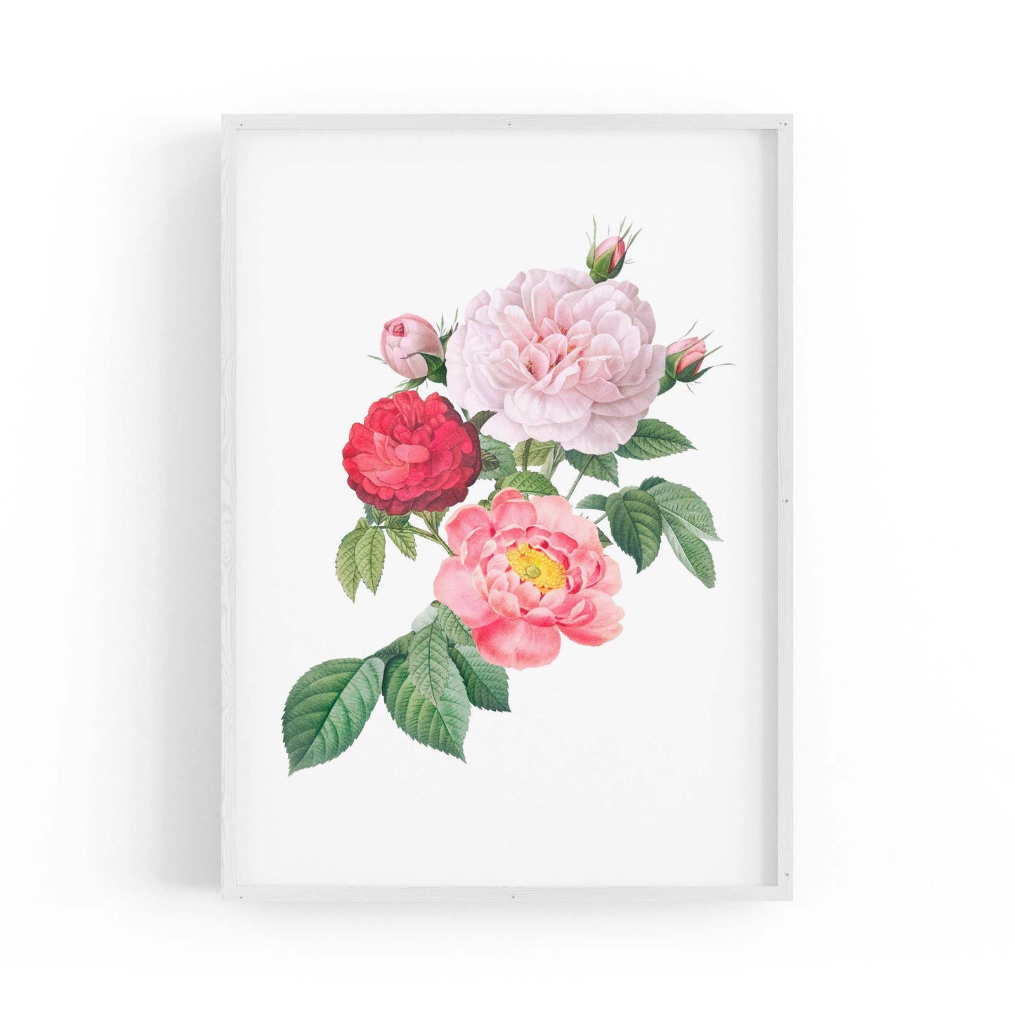Botanical Flower Painting Floral Kitchen Wall Art #1 - The Affordable Art Company