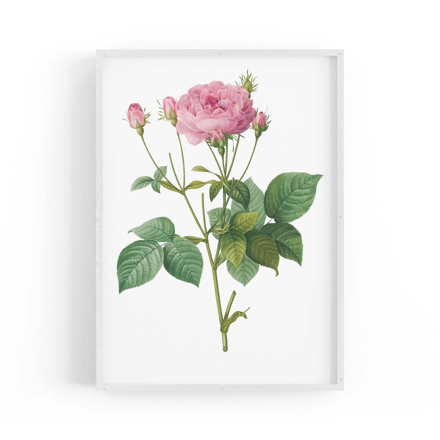 Flower Botanical Painting Kitchen Hallway Wall Art #18 - The Affordable Art Company