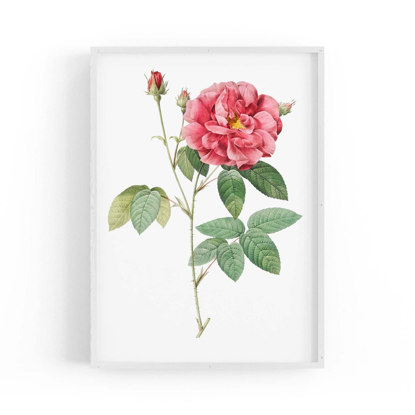 Flower Botanical Painting Kitchen Hallway Wall Art #17 - The Affordable Art Company