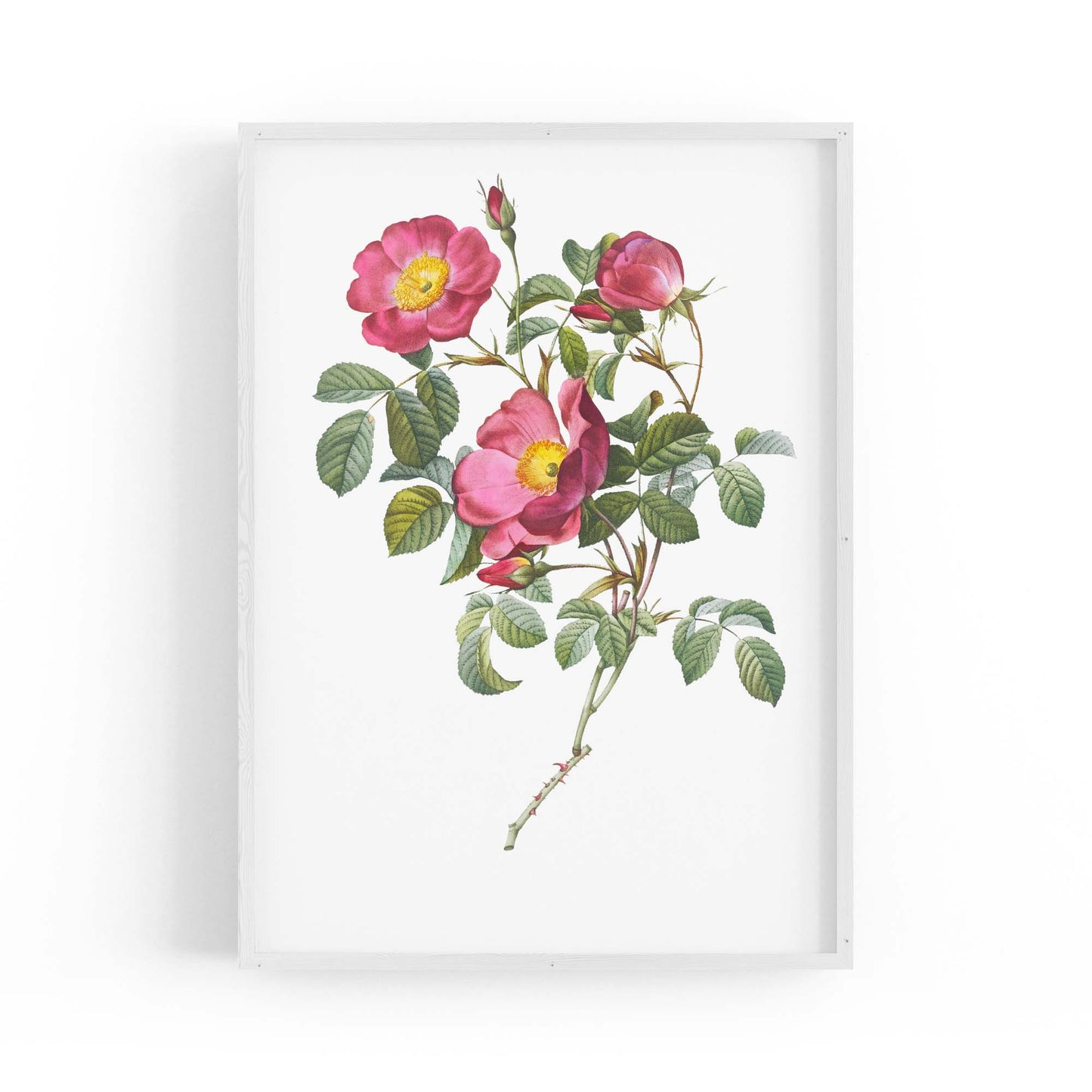 Flower Botanical Painting Kitchen Hallway Wall Art #41 - The Affordable Art Company