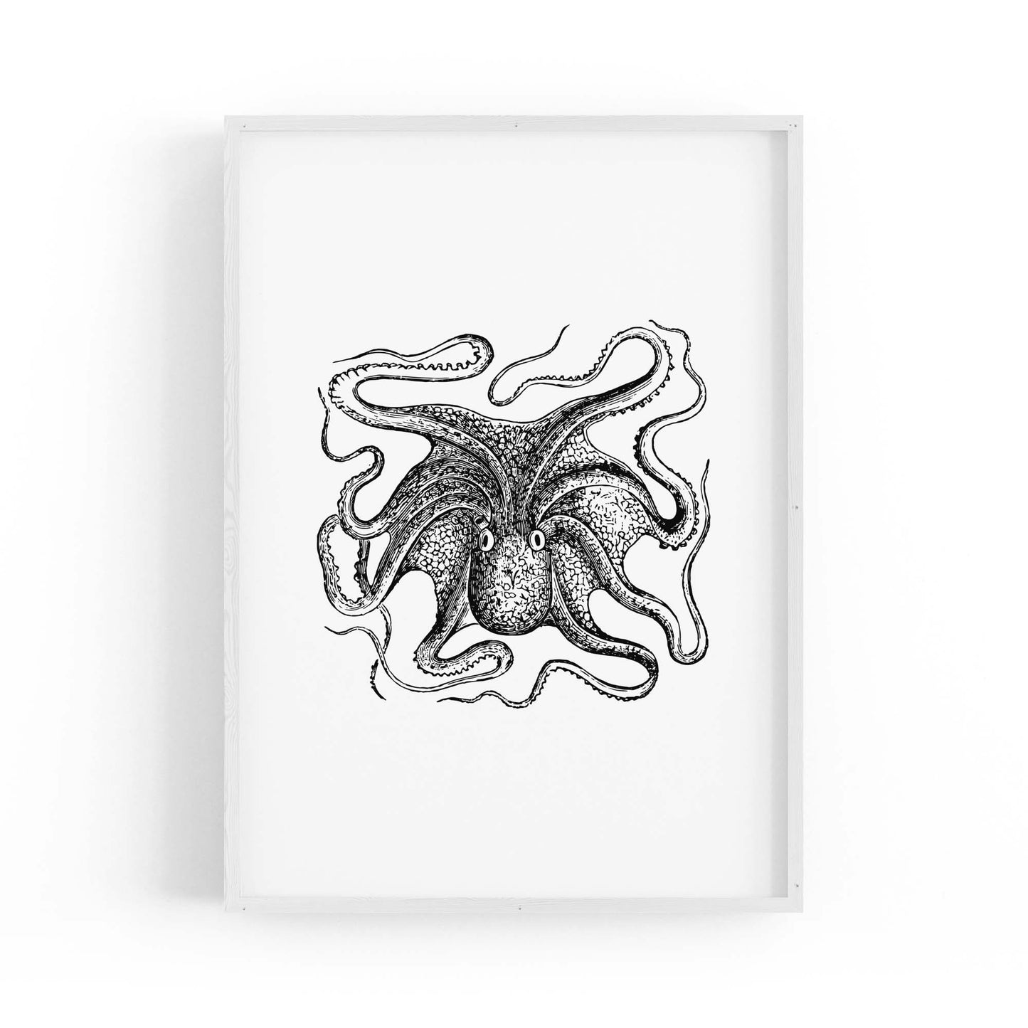 Octopus Drawing Minimal Sealife Wall Art #1 - The Affordable Art Company