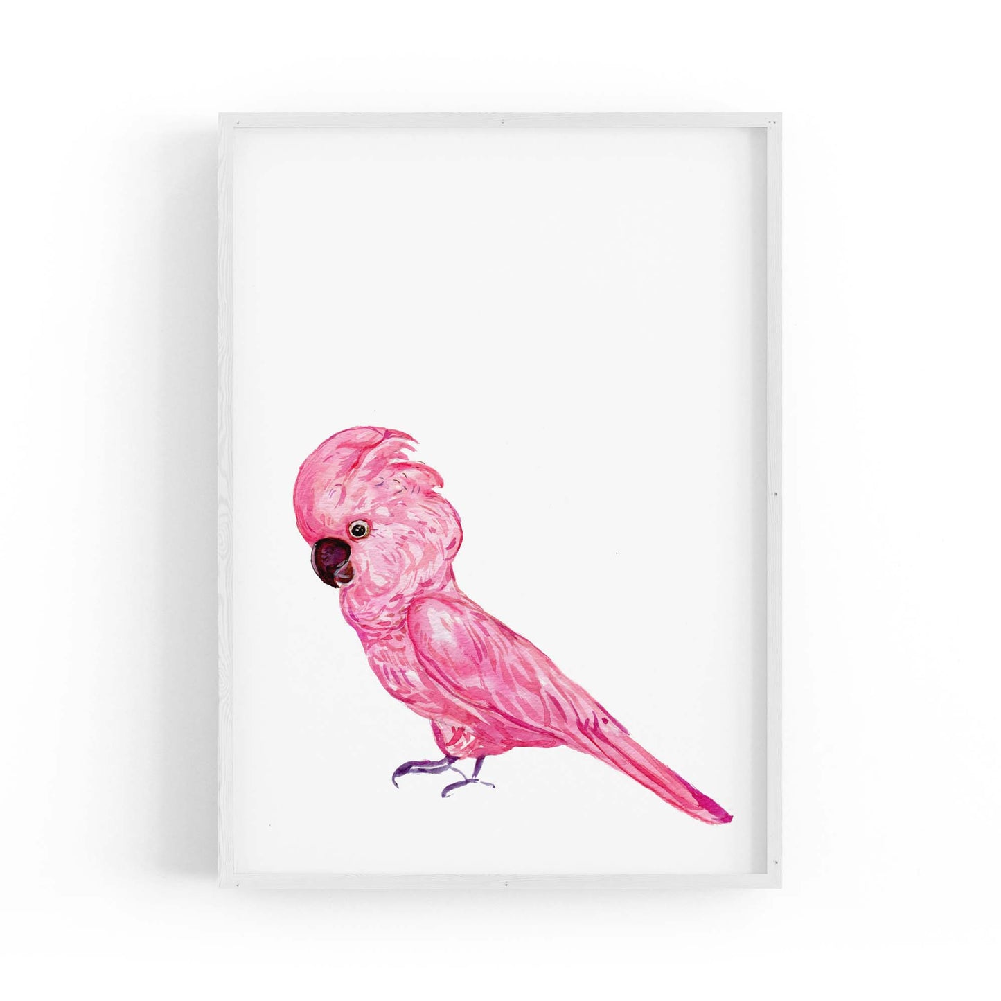 Pink Galah Bird Painting Nursery Australian Wall Art - The Affordable Art Company