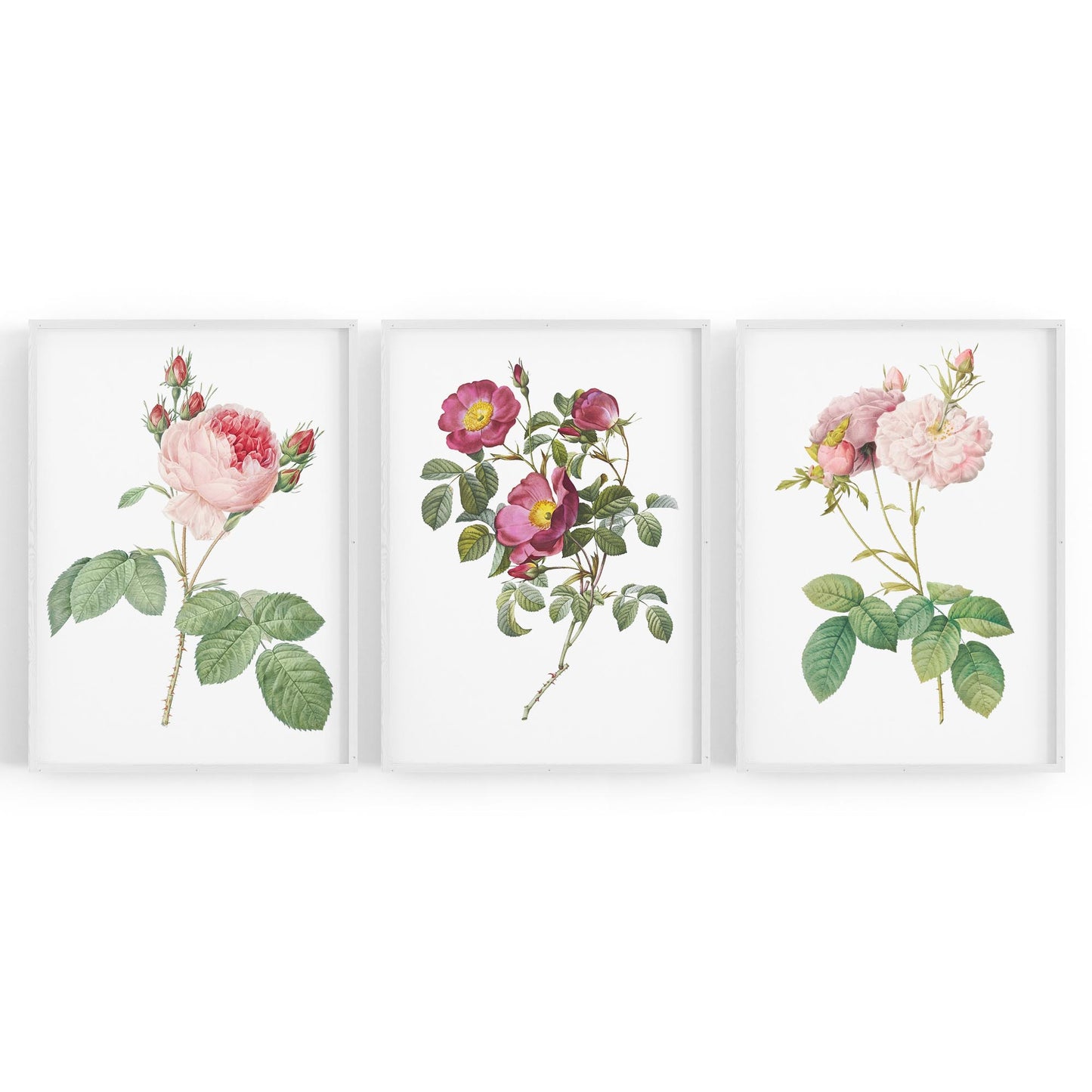 Set of Pink & White Flower Botanical Wall Art - The Affordable Art Company