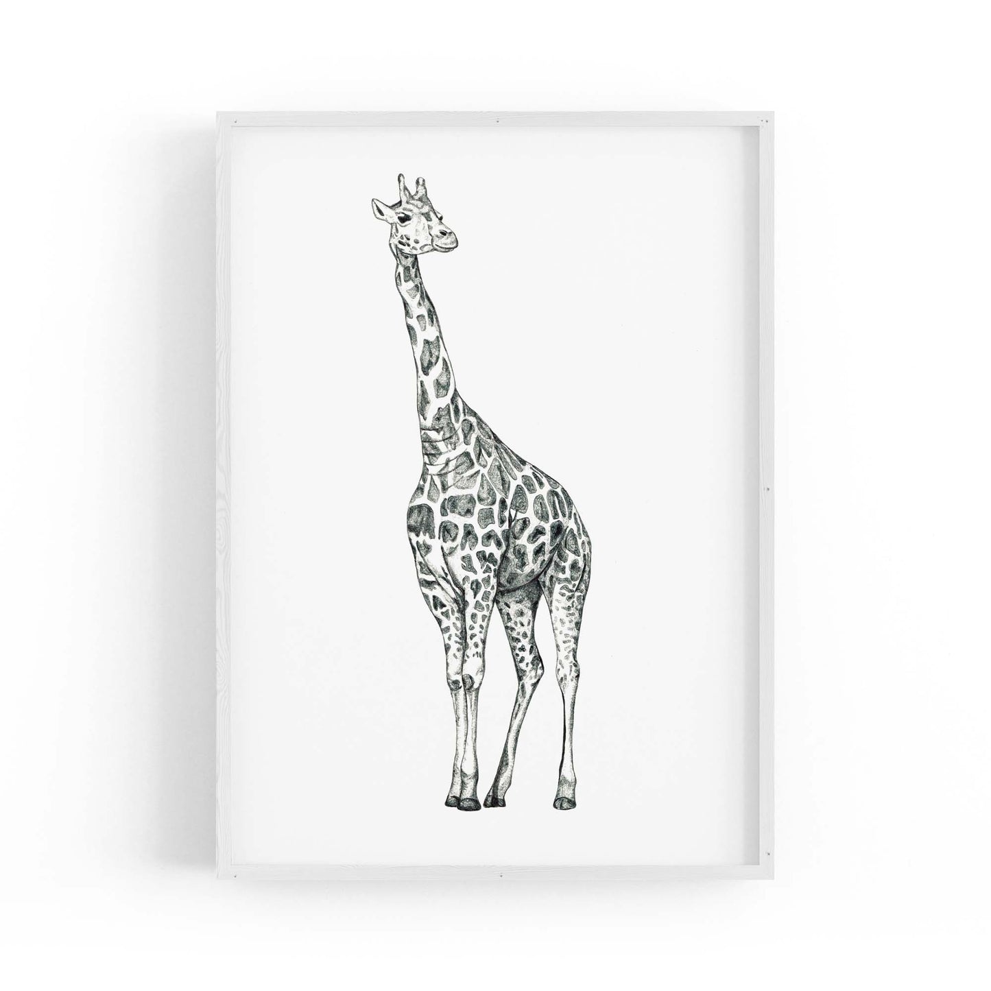 Detailed Giraffe Drawing Safari Animal Wall Art #1 - The Affordable Art Company