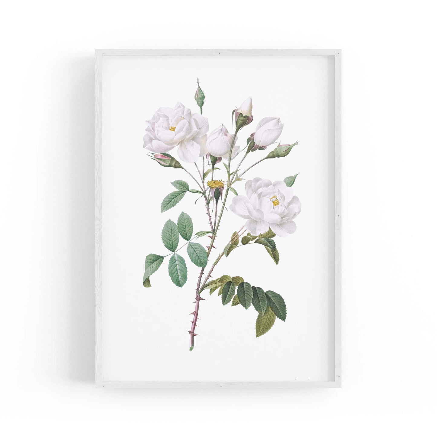 Flower Botanical Painting Kitchen Hallway Wall Art #15 - The Affordable Art Company