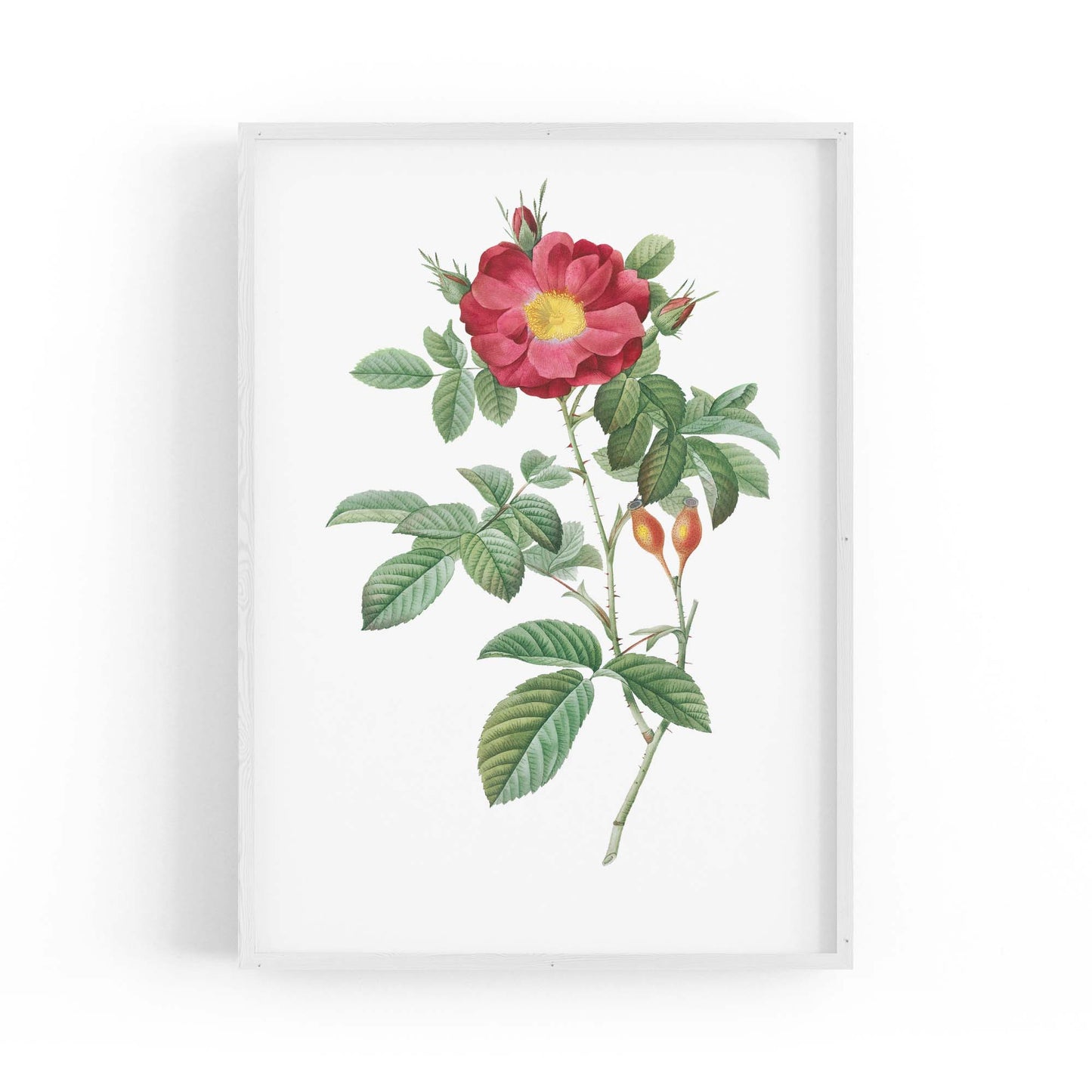 Flower Botanical Painting Kitchen Hallway Wall Art #9 - The Affordable Art Company