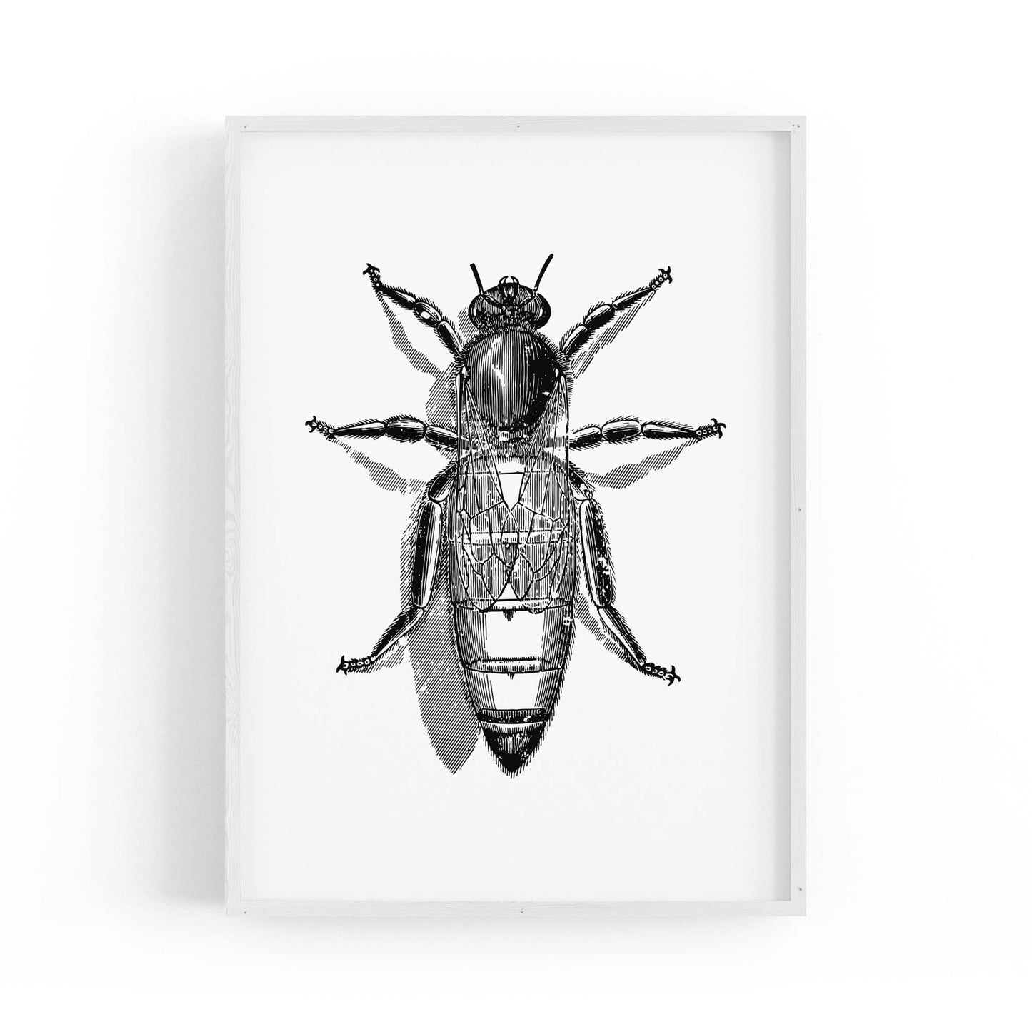Queen Bee Drawing Insect Honey Wall Art - The Affordable Art Company