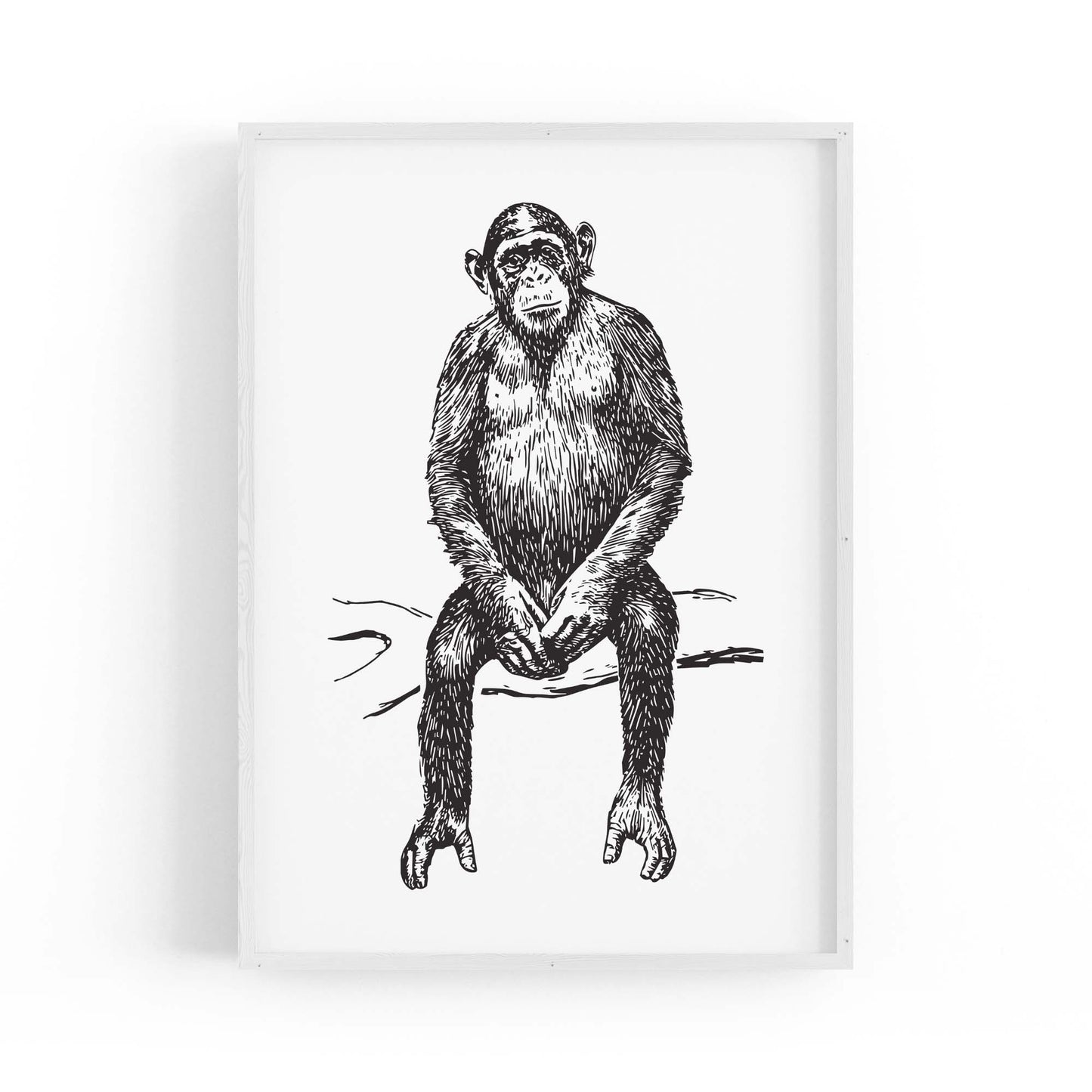 Monkey Drawing Animal Jungle Wall Art - The Affordable Art Company