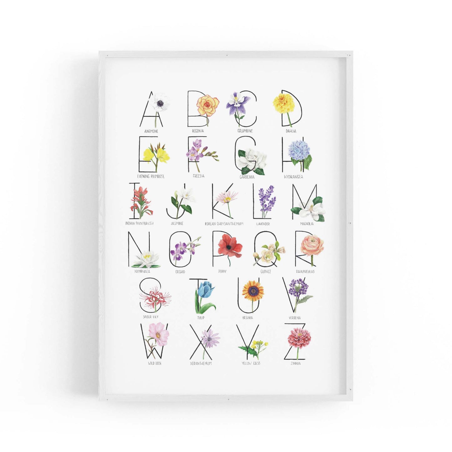 Flower Alphabet Kitchen Drawing Wall Art - The Affordable Art Company