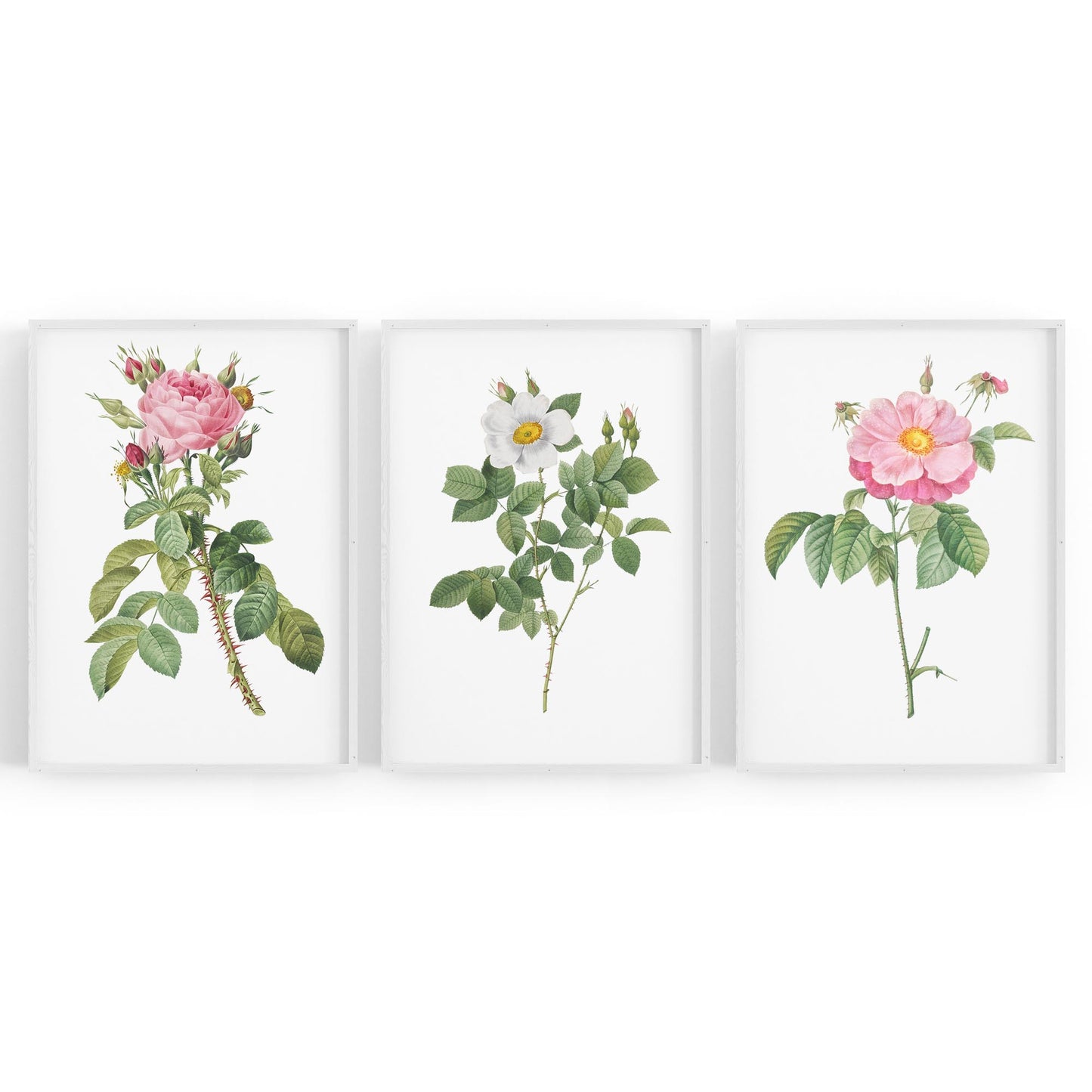 Set of Pink Floral Vintage Botanical Wall Art #2 - The Affordable Art Company