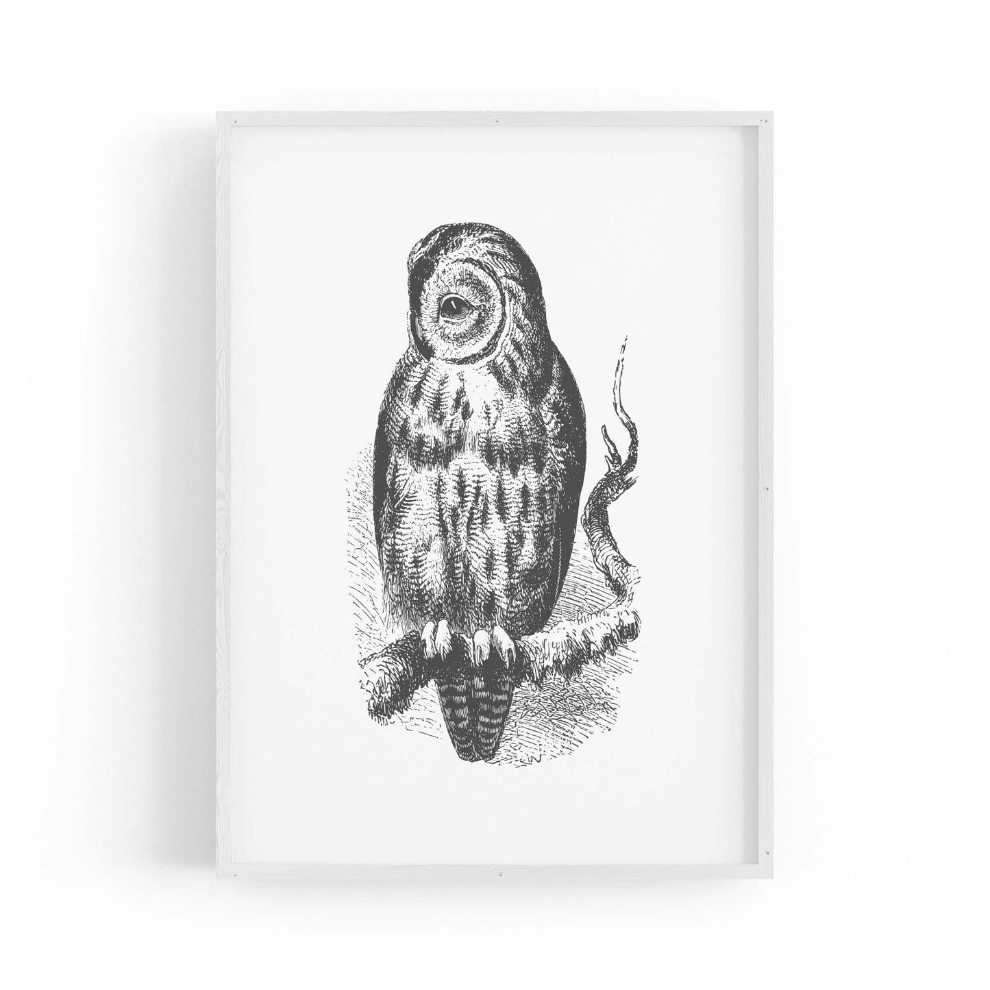 Owl Drawing Portrait Minimal Black Wall Art #3 - The Affordable Art Company