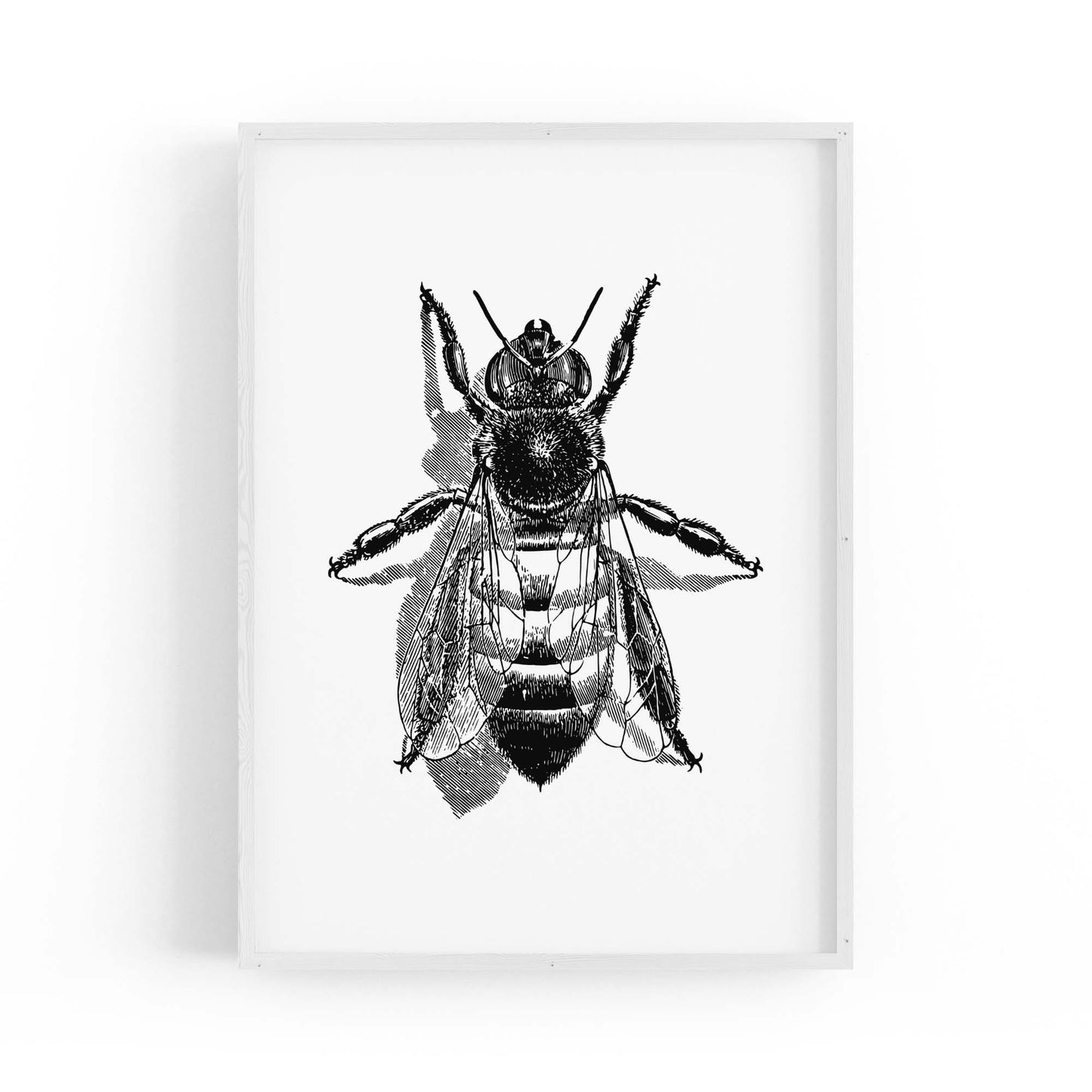 Worker Bee Drawing Insect Honey Wall Art - The Affordable Art Company