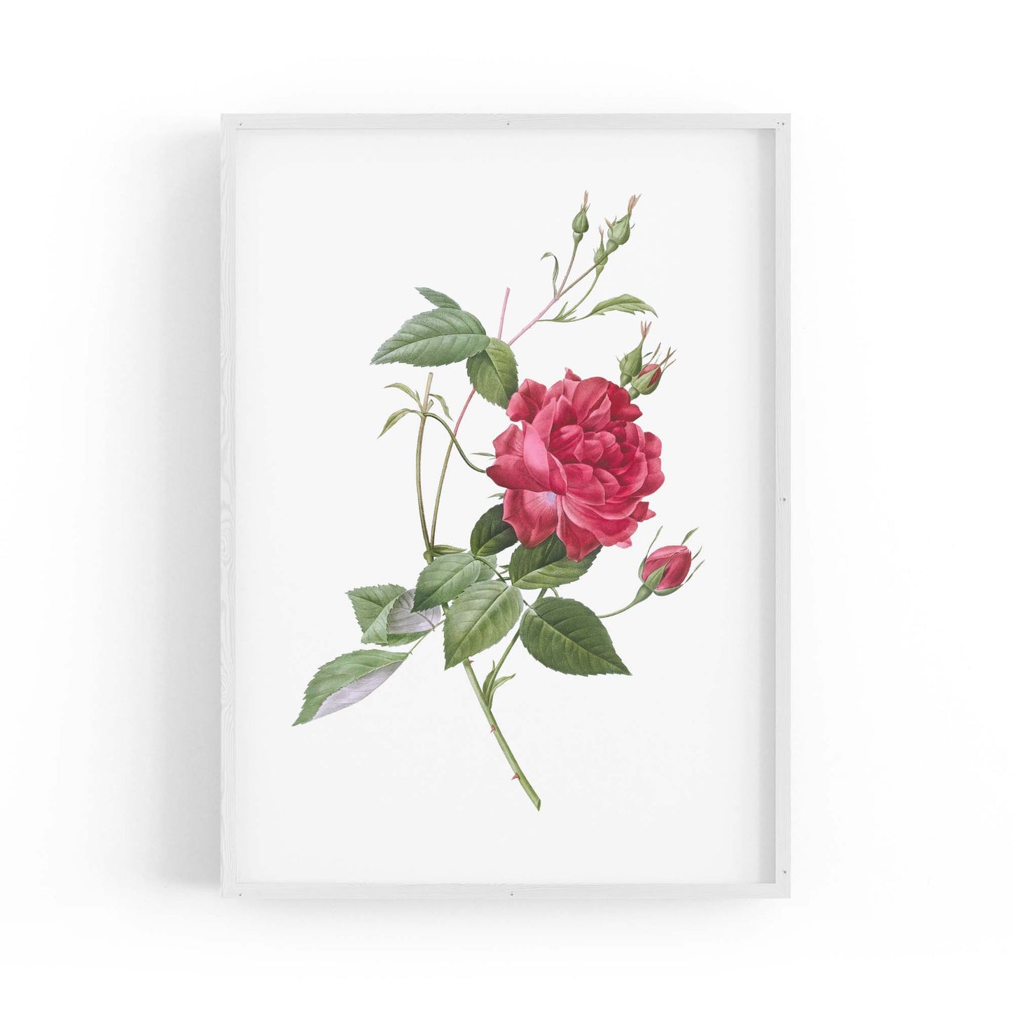Flower Botanical Painting Kitchen Hallway Wall Art #31 - The Affordable Art Company
