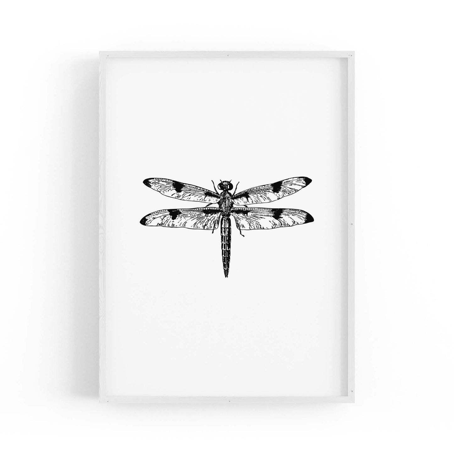 Dragonfly Drawing Insect Minimal Artwork Wall Art #1 - The Affordable Art Company