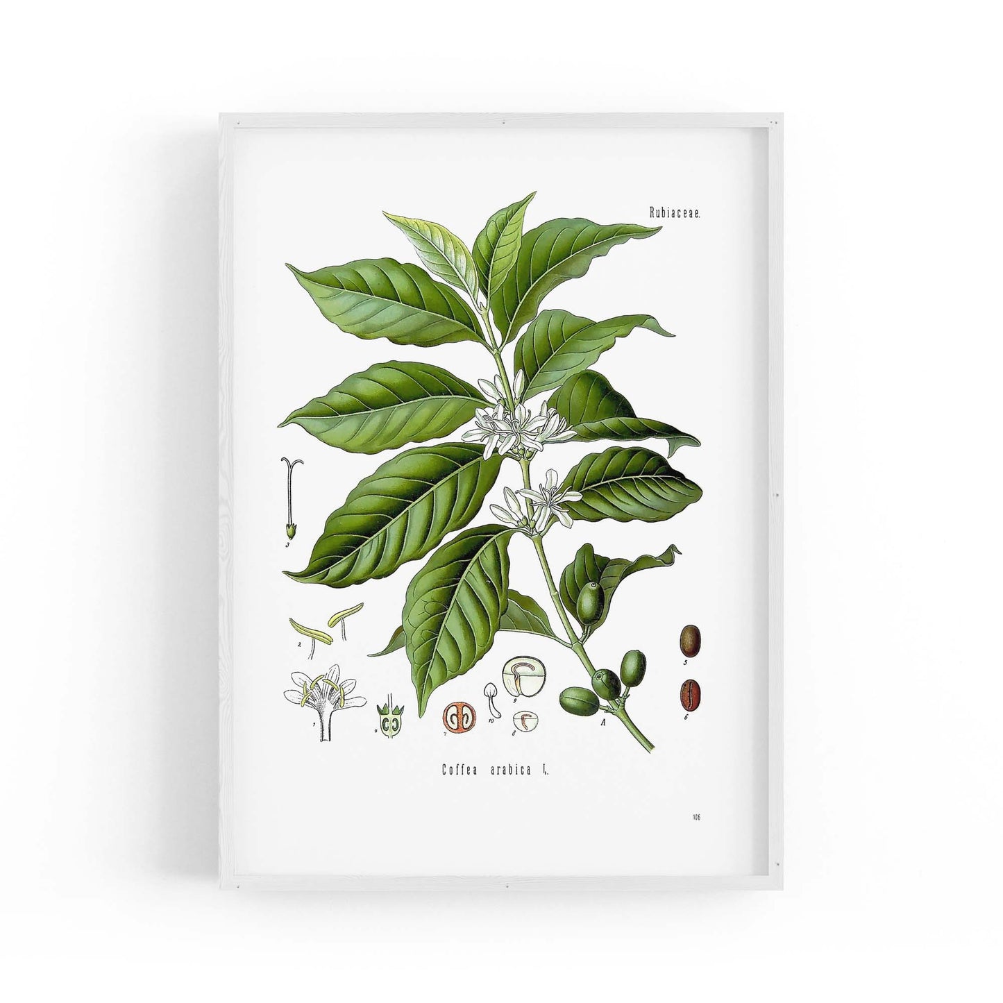 Coffee Branch Botanical Kitchen Cafe Wall Art #1 - The Affordable Art Company