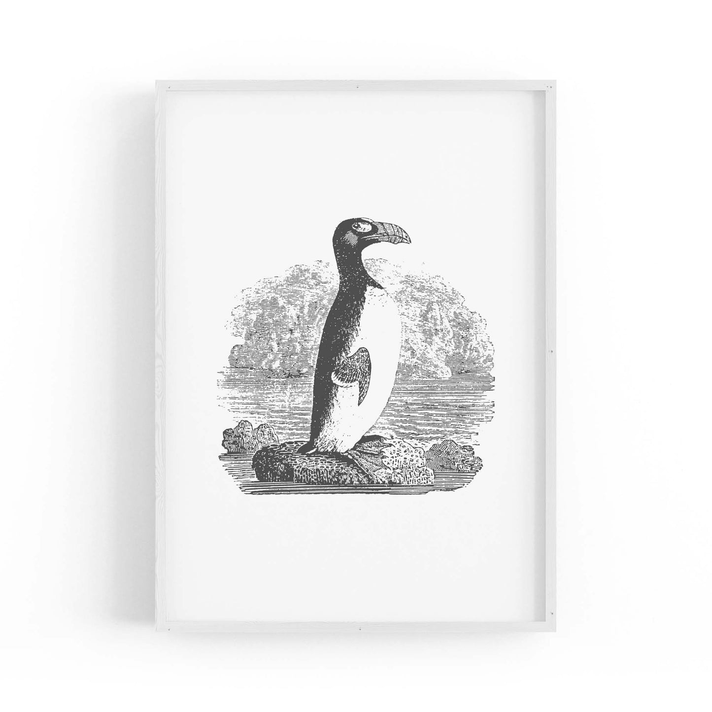 Penguin Drawing Animal Office Library Wall Art #2 - The Affordable Art Company