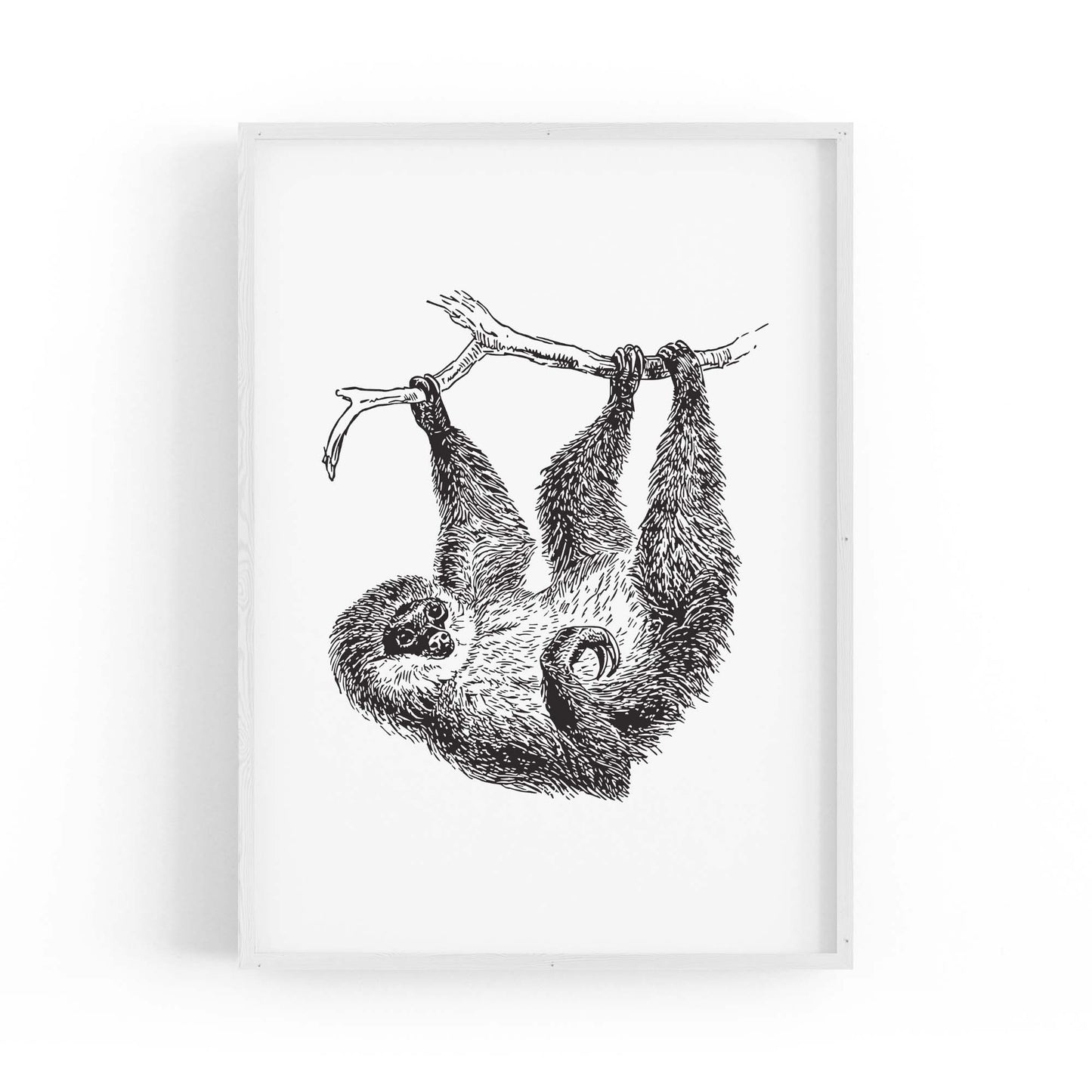 Sloth Drawing Animal Minimal Wall Art - The Affordable Art Company