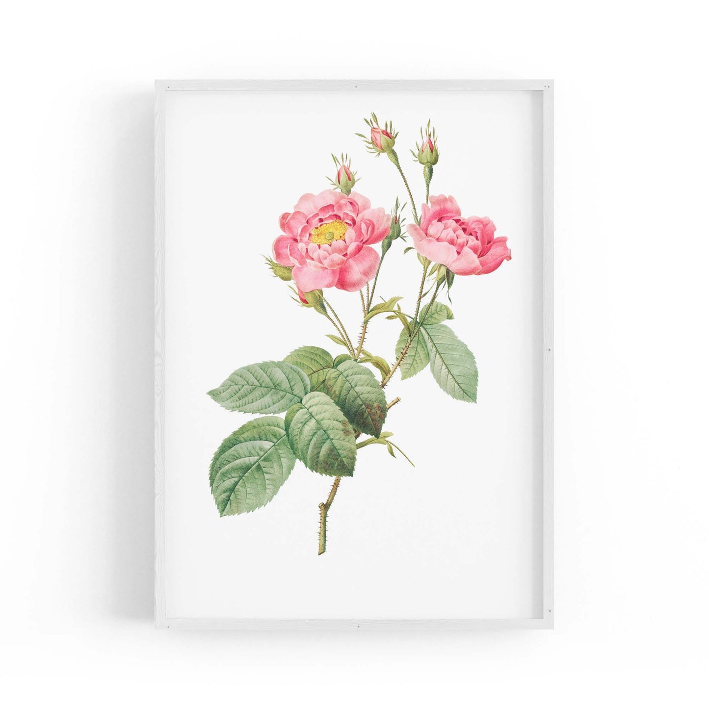 Flower Botanical Painting Kitchen Hallway Wall Art #12 - The Affordable Art Company