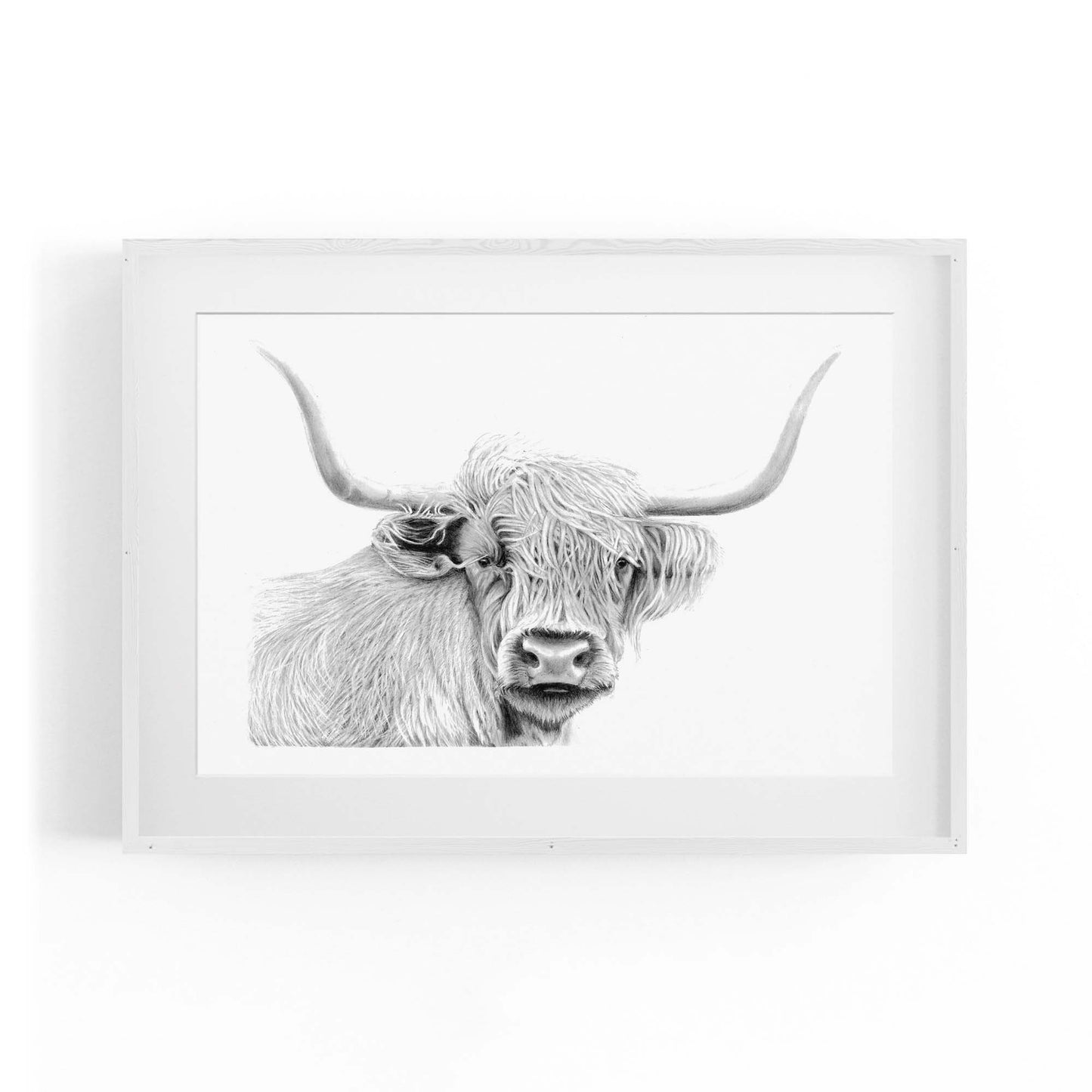 Highland Cow Detailed Drawing Minimal Wall Art - The Affordable Art Company