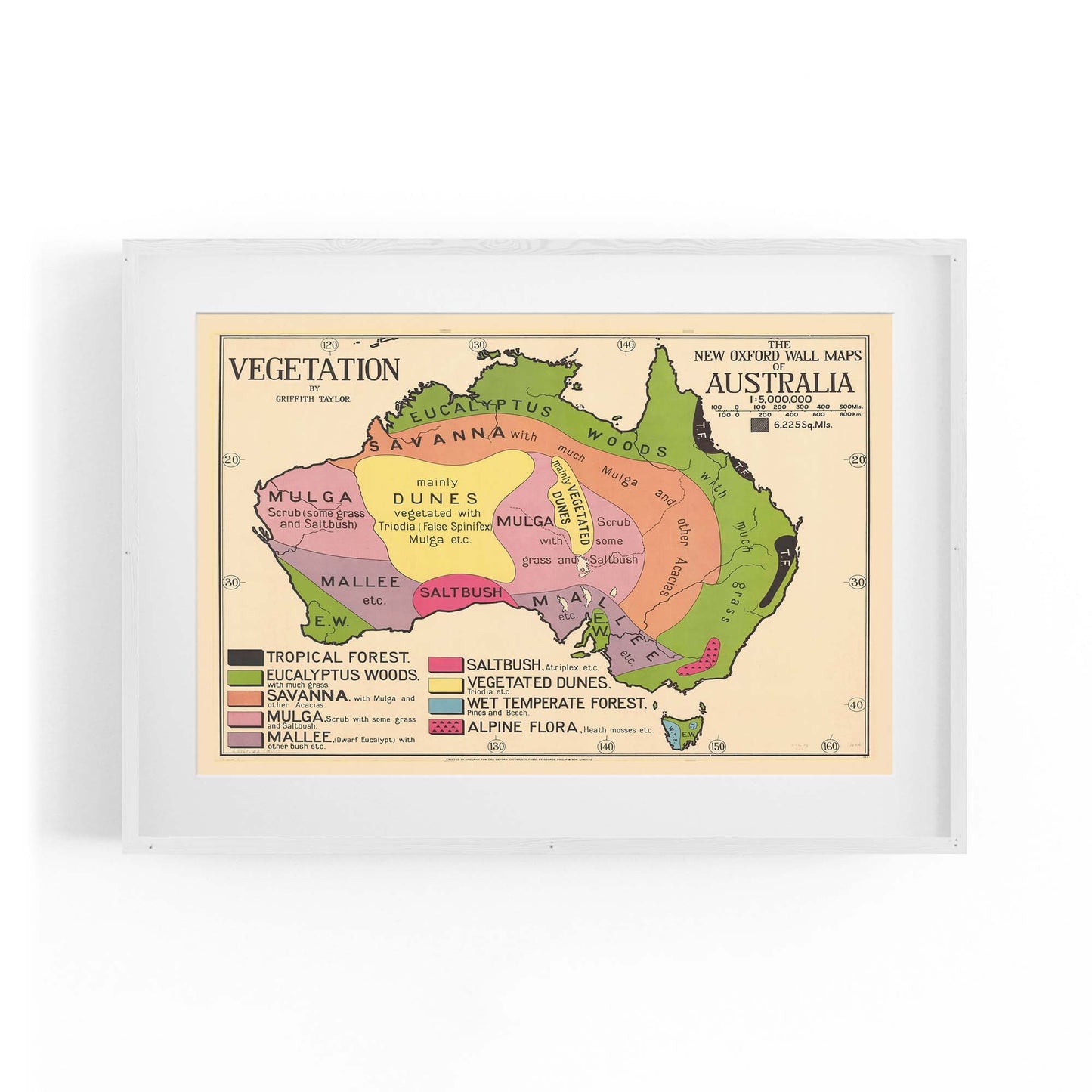 Australian Vegetation Vintage Map Wall Art - The Affordable Art Company