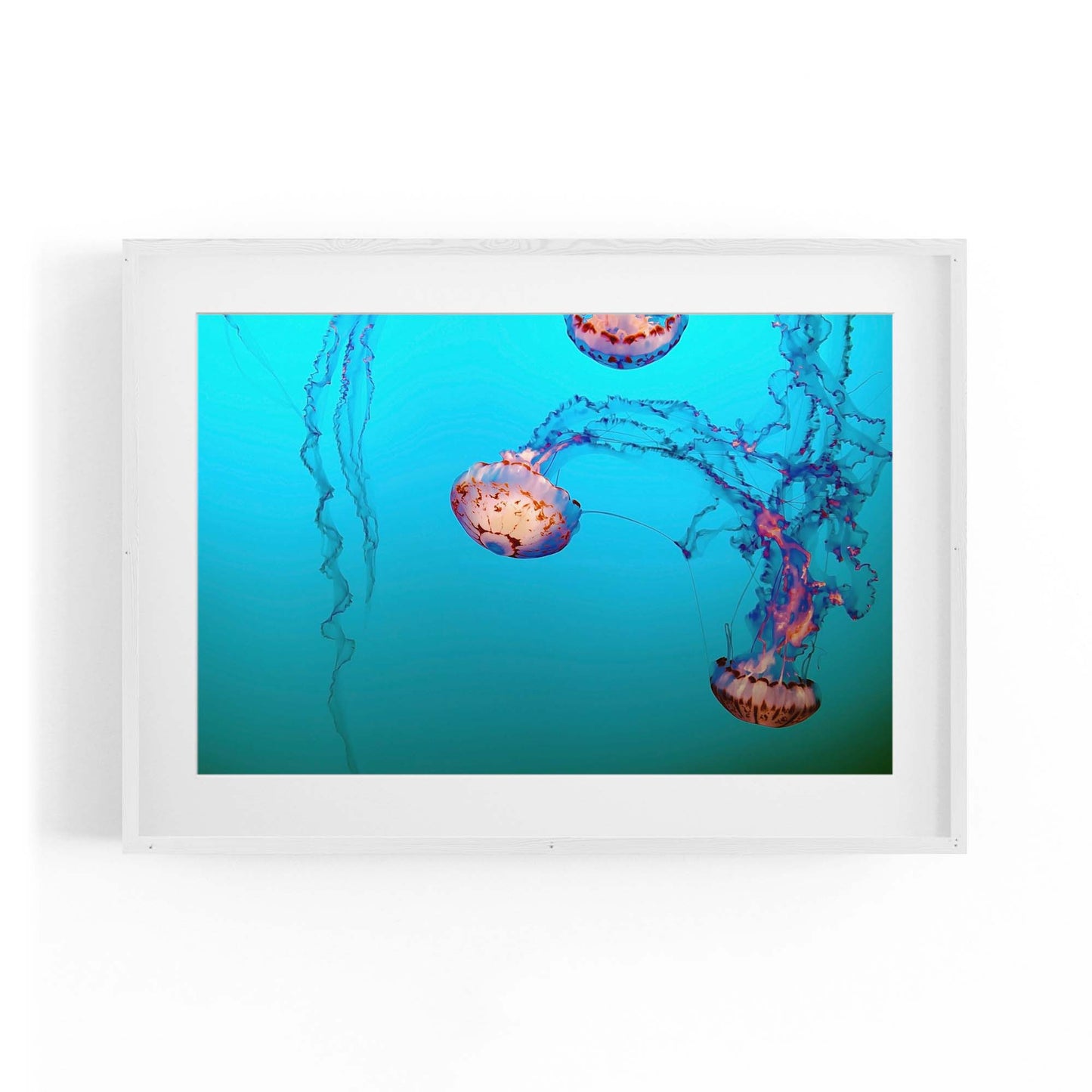 Deep Blue Jellyfish Neon Photograph Wall Art - The Affordable Art Company