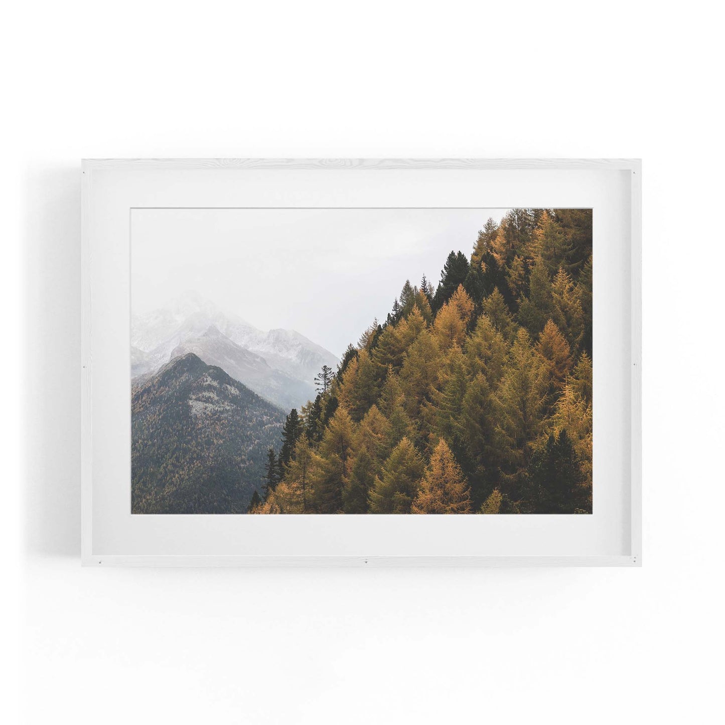 Autumn Forest Nature Photograph Green Wall Art #1 - The Affordable Art Company