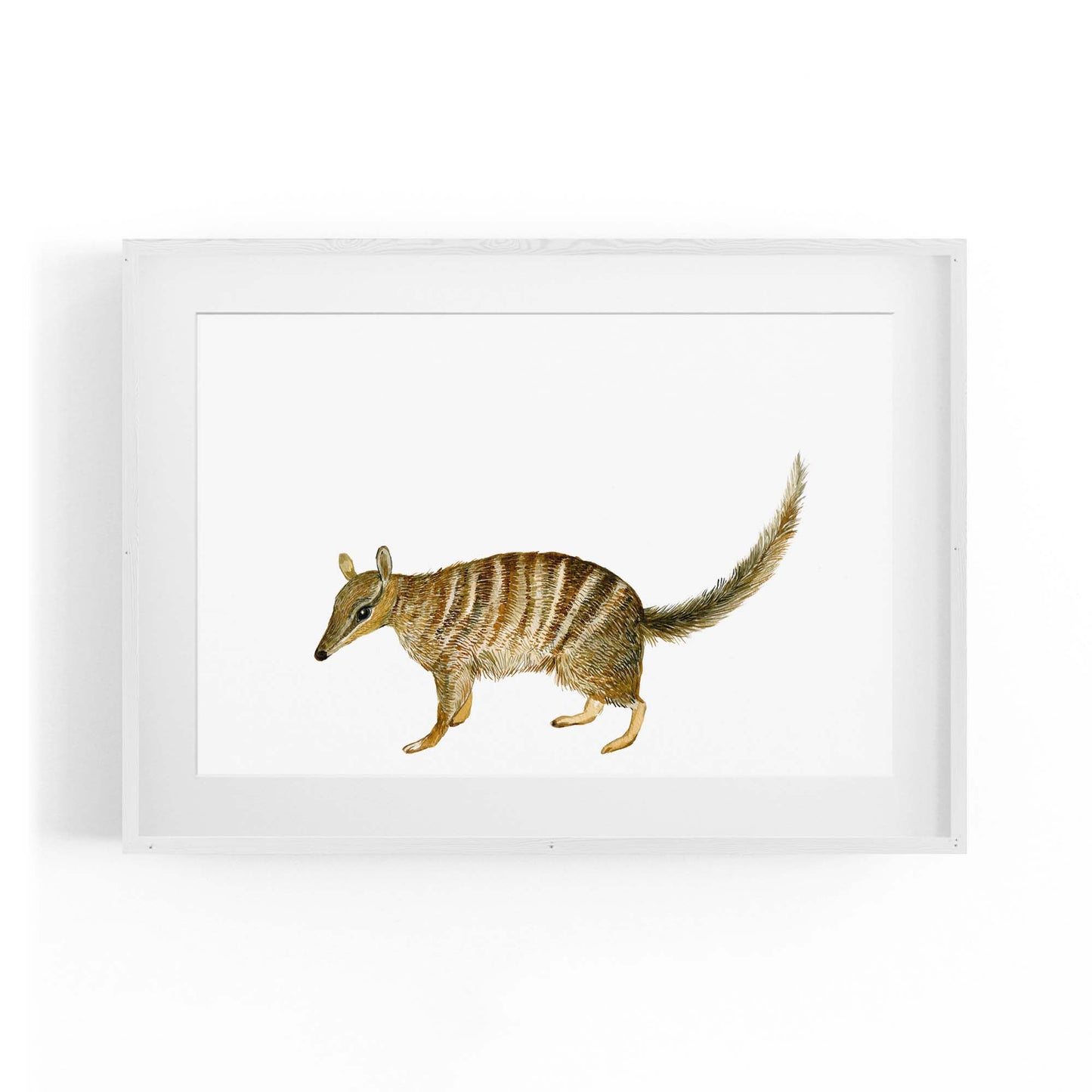 Australian Anteater Painting Animal Nursery Art - The Affordable Art Company