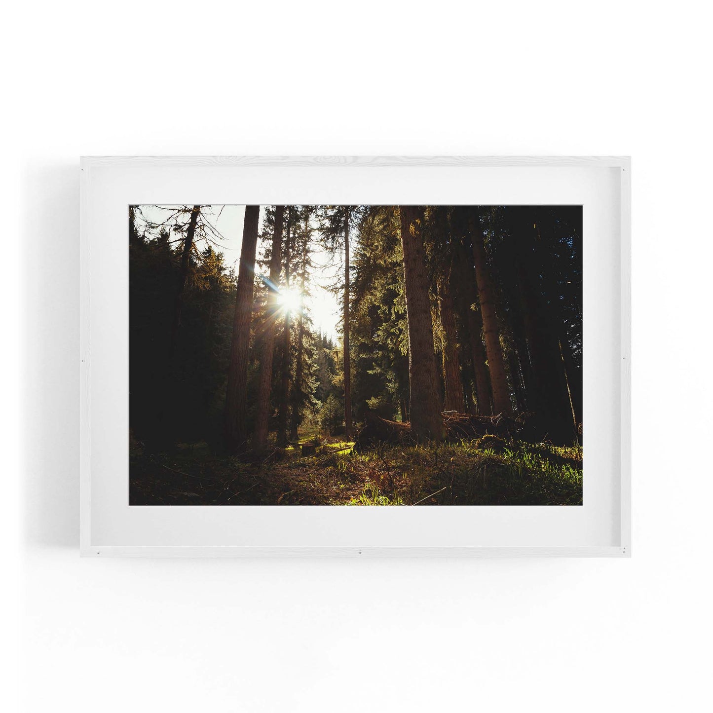 Morning Nature Sunset Photograph Wall Art - The Affordable Art Company