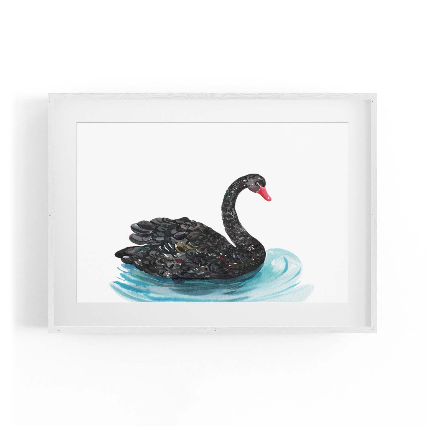 Black Swan Australian Animal Nursery Wall Art - The Affordable Art Company