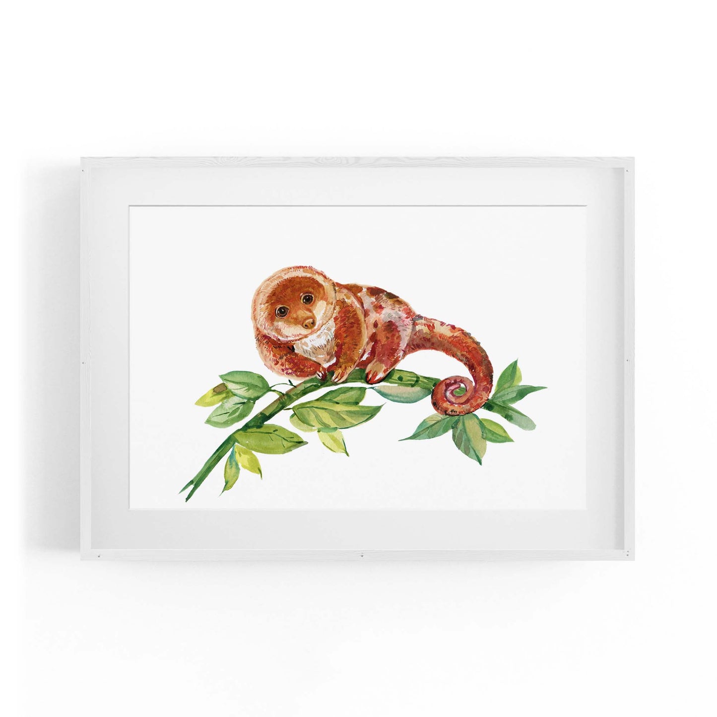 Australian Tree Kangaroo Painting Animal Wall Art - The Affordable Art Company