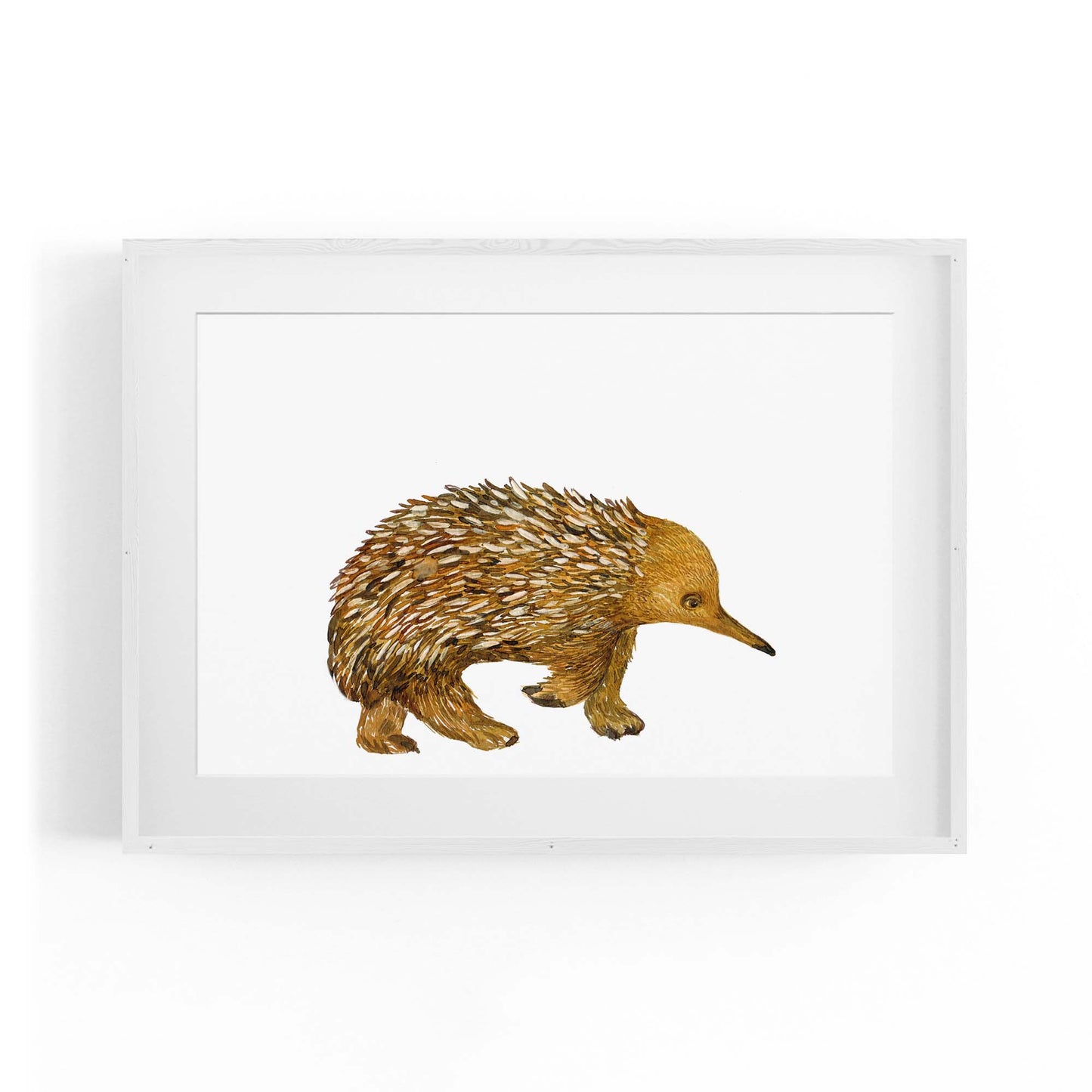 Australian Echidna Painting Animal Nursery Wall Art - The Affordable Art Company