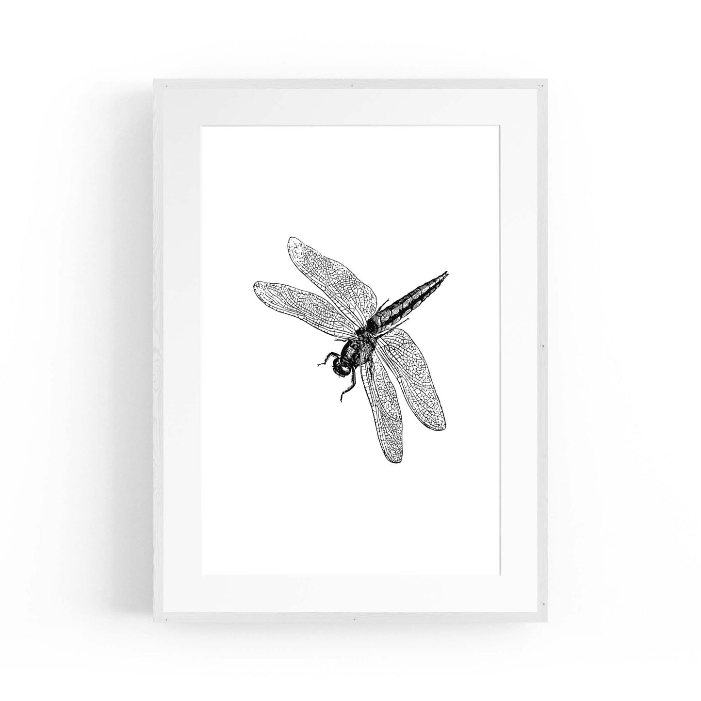 Dragonfly Drawing Insect Minimal Artwork Wall Art #2 - The Affordable Art Company